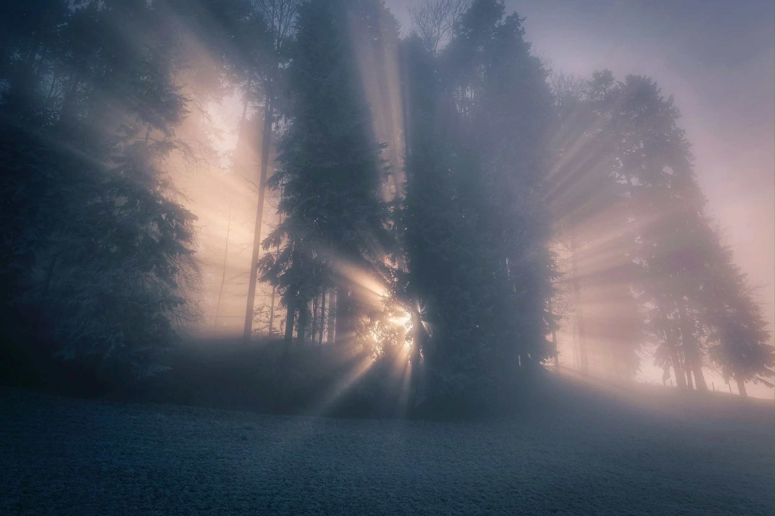 Hope in the Mourning