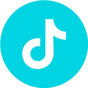 TikTok link
