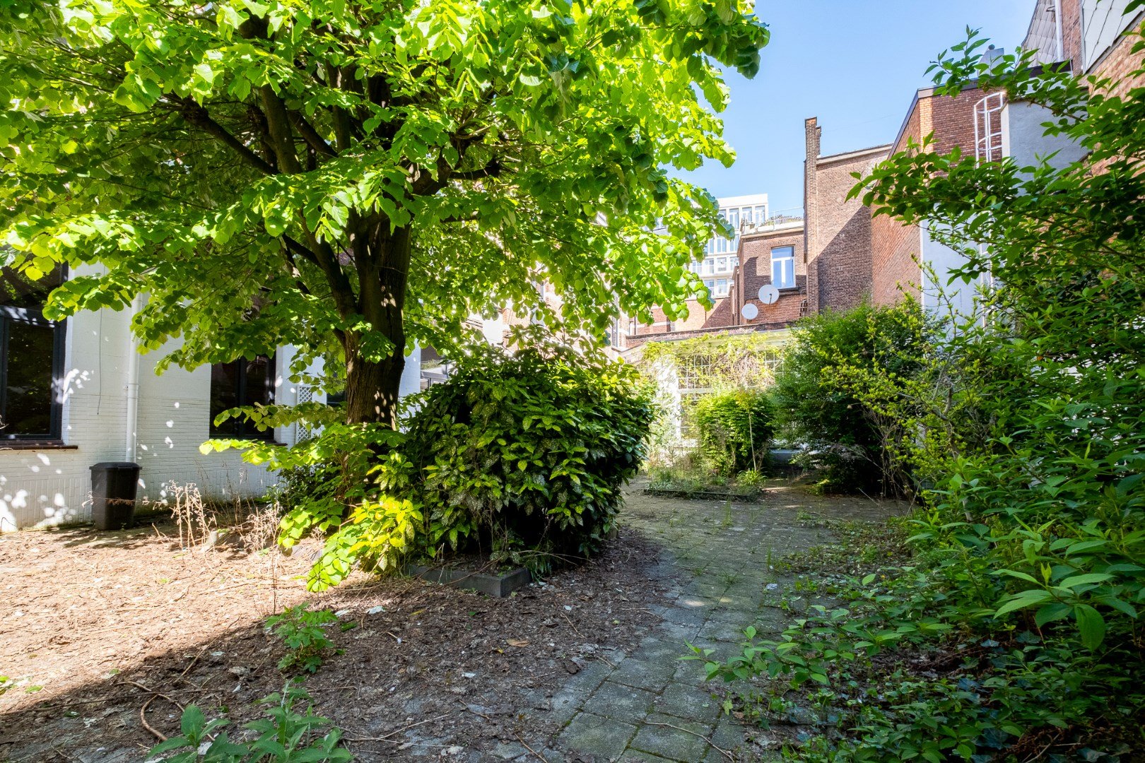 paard tuin.jpg