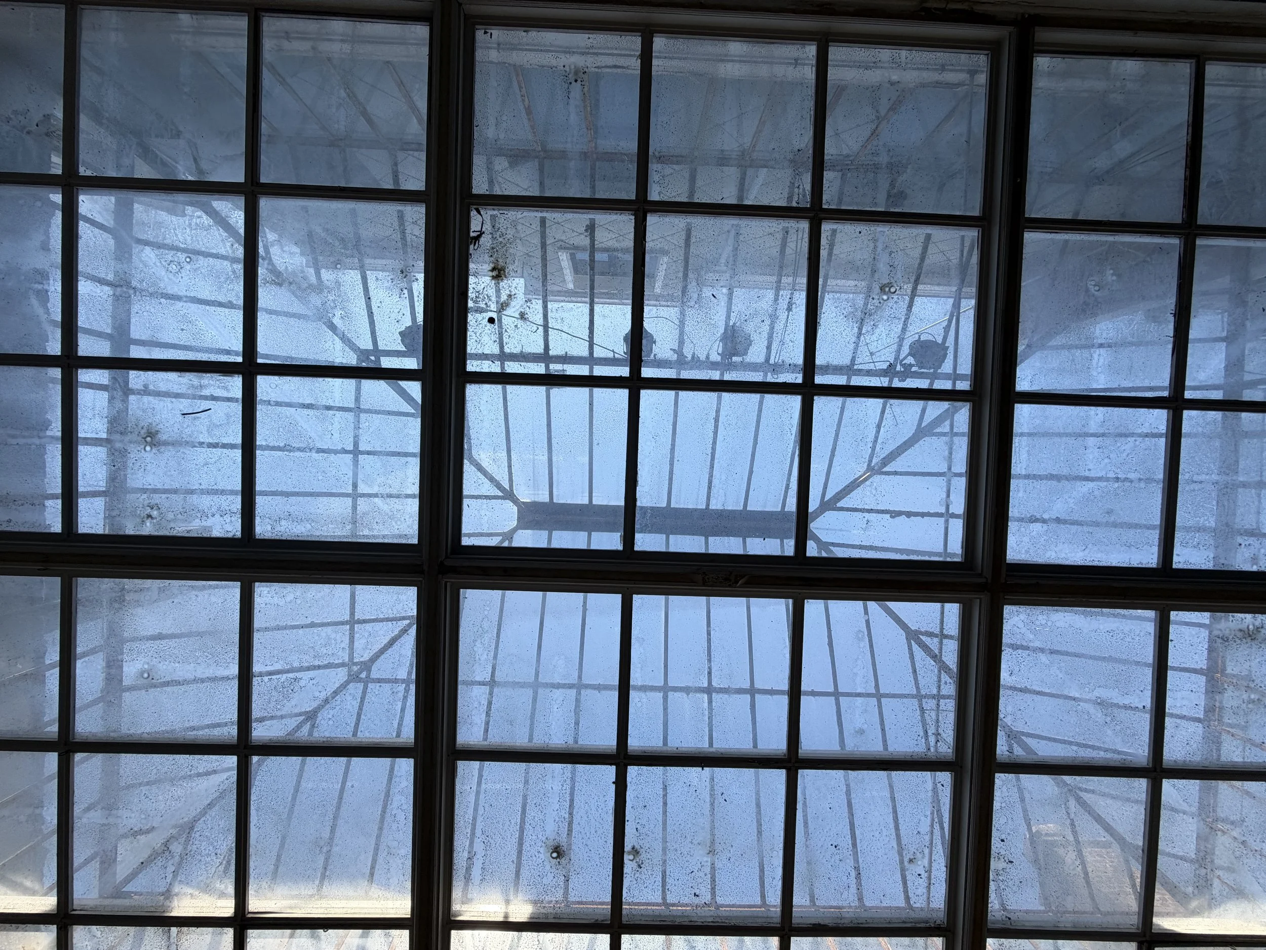 IMG_5507.jpeg