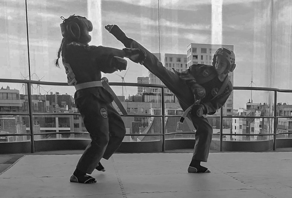 Force Antwerp