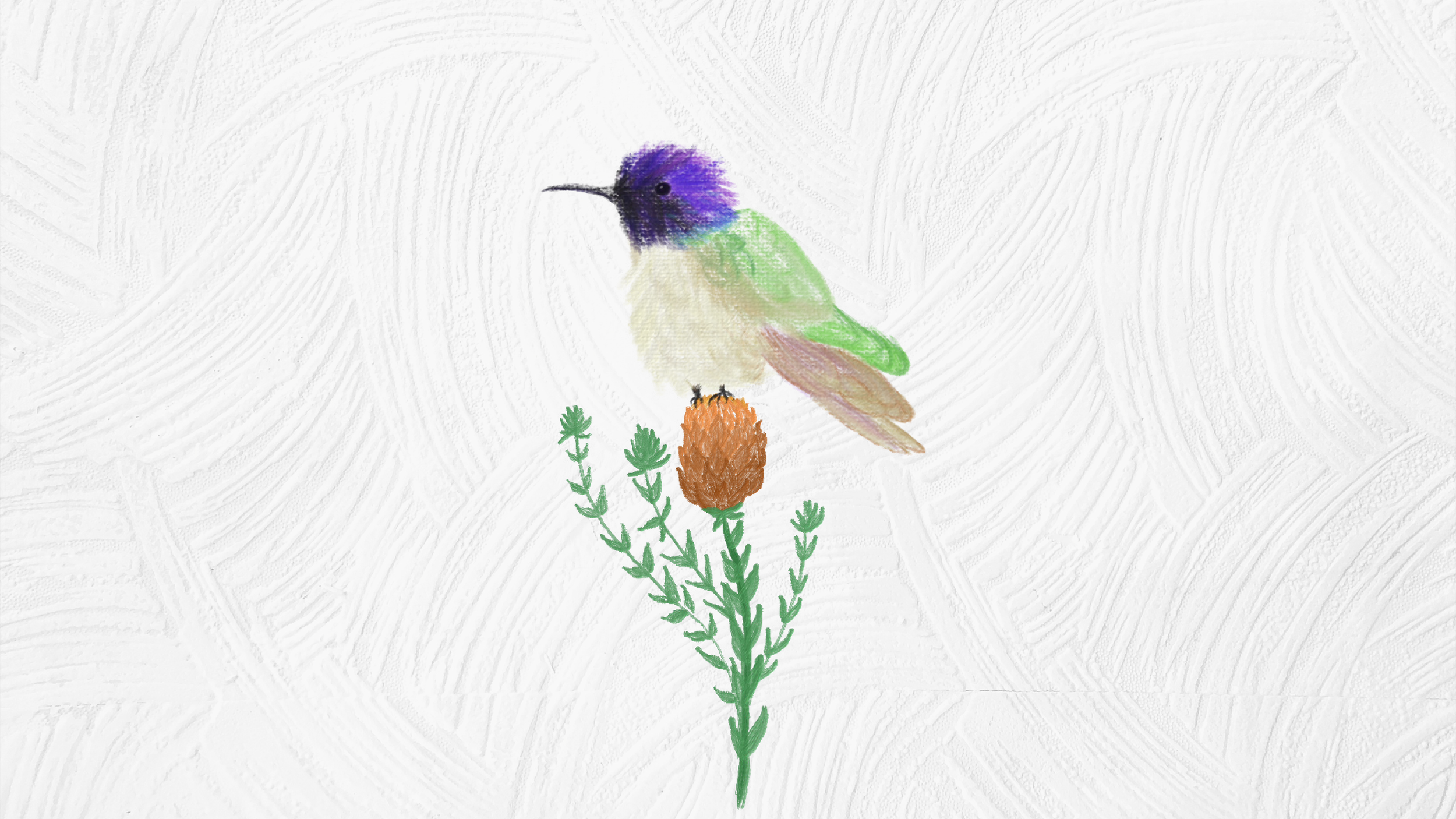 ilustraciones-02.png