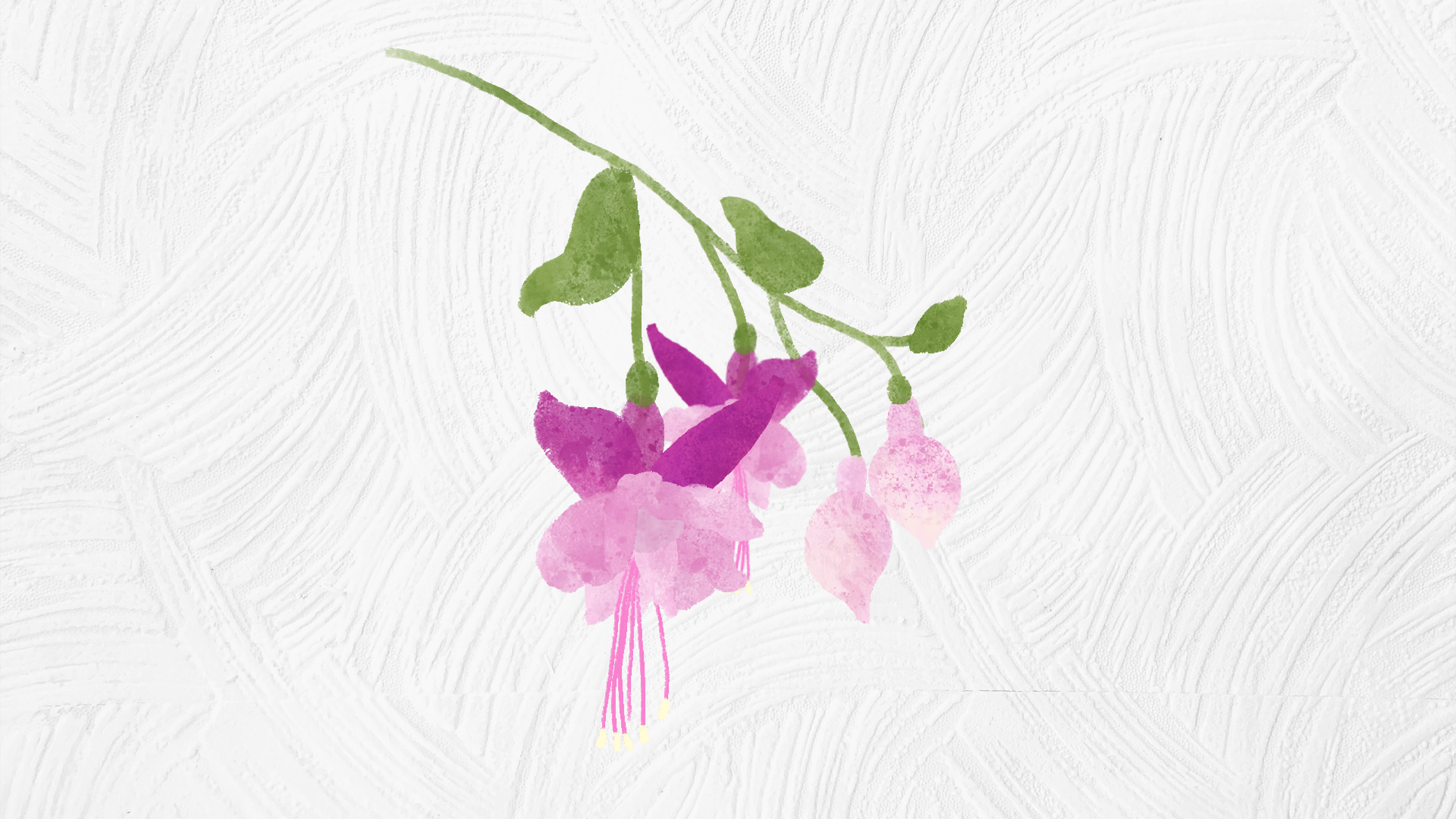 ilustraciones-04.png