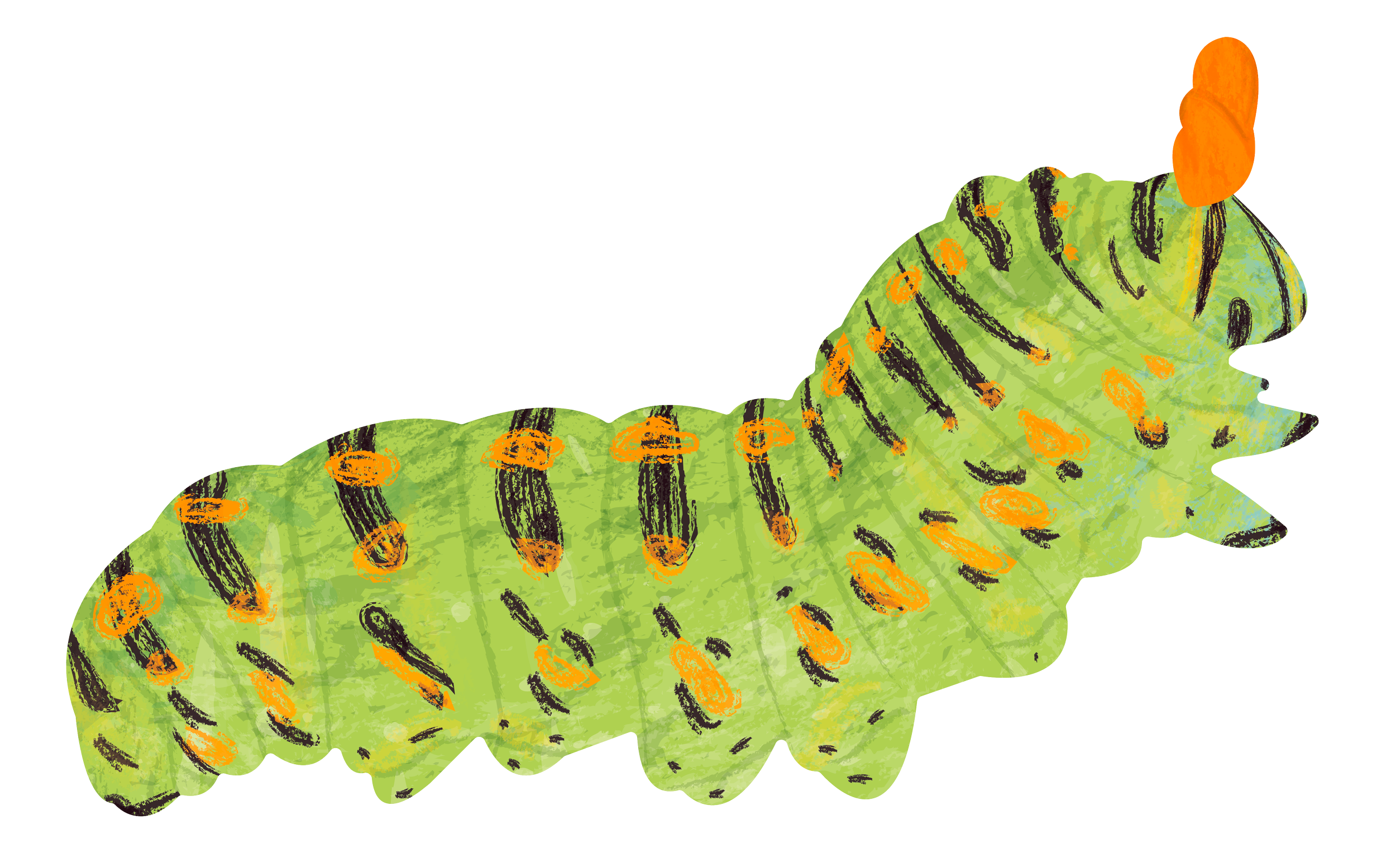 Ilustración de una oruga de colores verdes y negros con manchas naranjas, con forma de ser un animal caricaturesco.