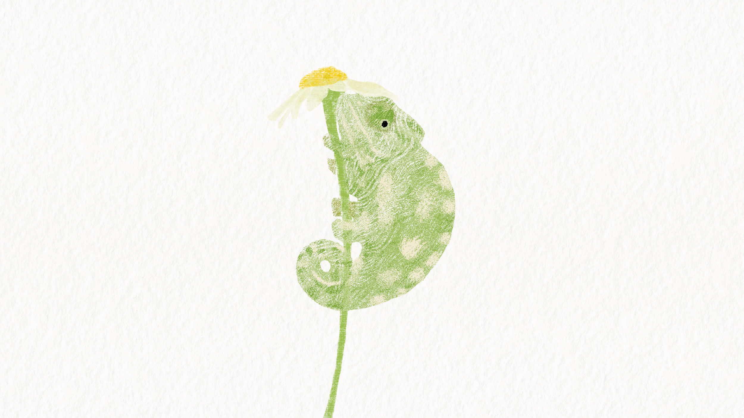 ilustraciones-03.png