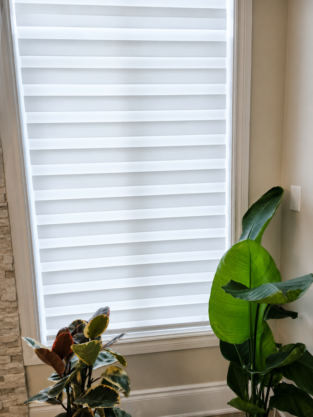 Zebra Blinds in Living room in Burlington by SKJ Home Solutions