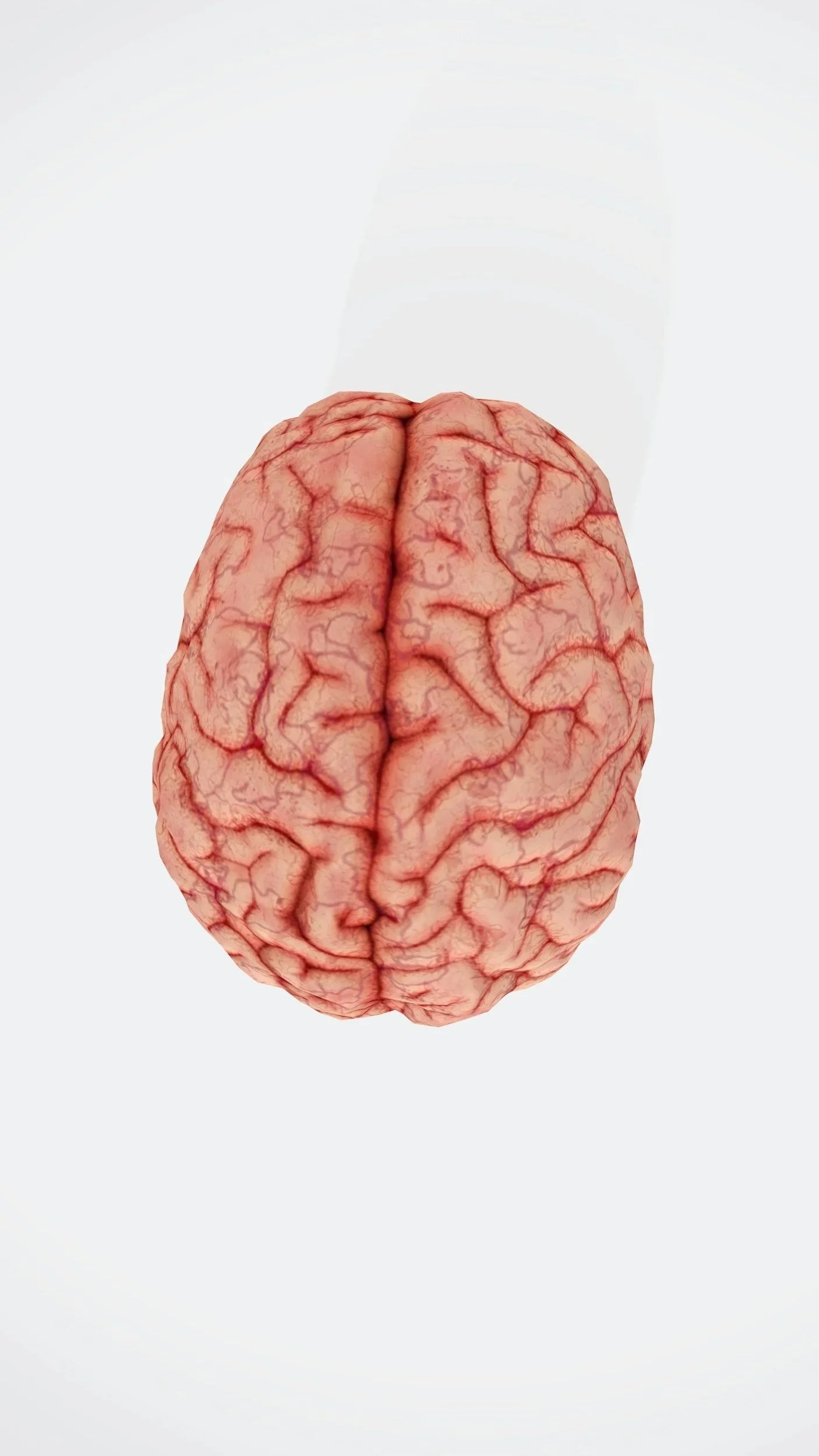 Statewide Brain Injury Support CT