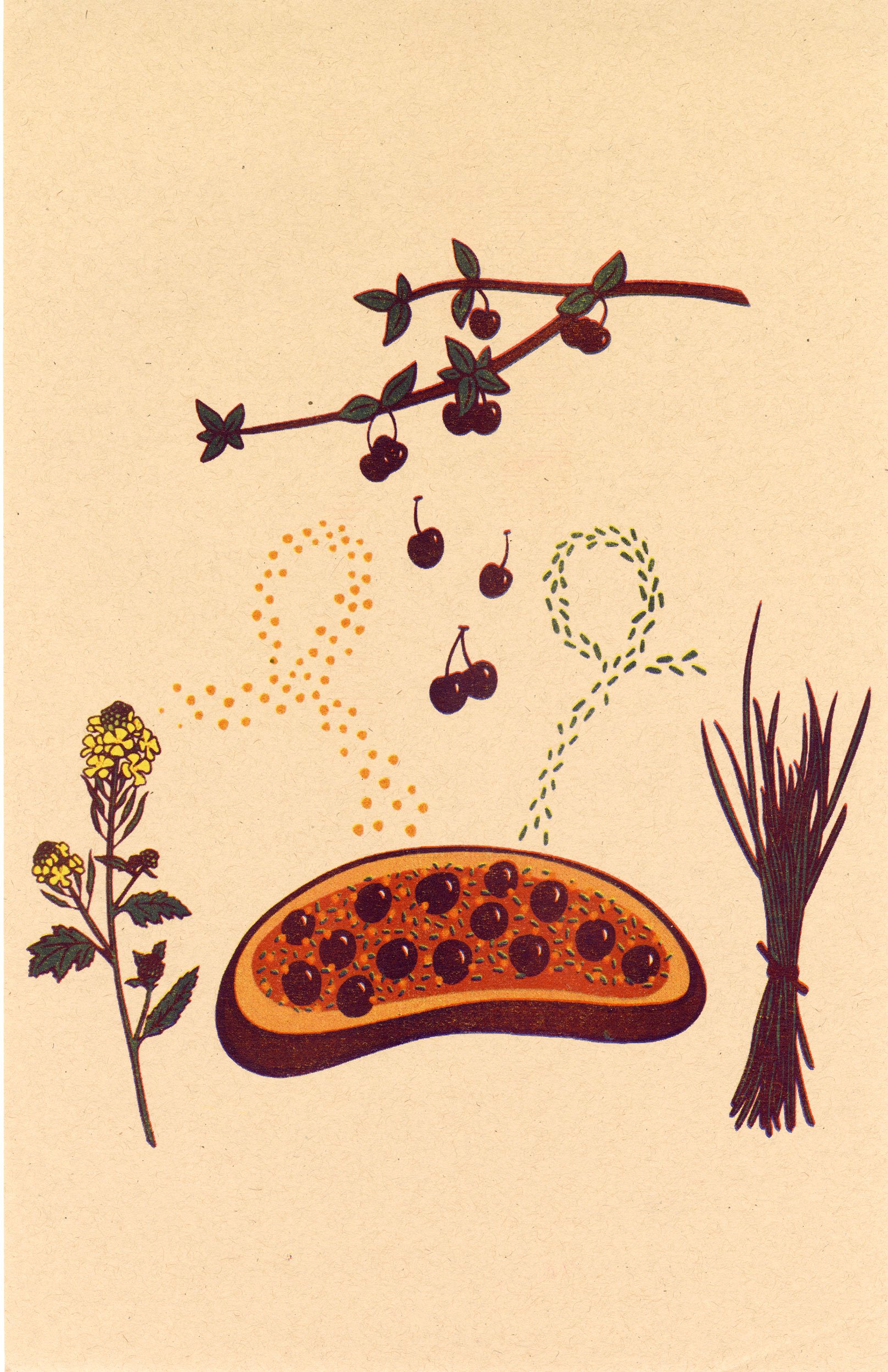 Chicken Liver Toast, Risograph, 11x17", 2025