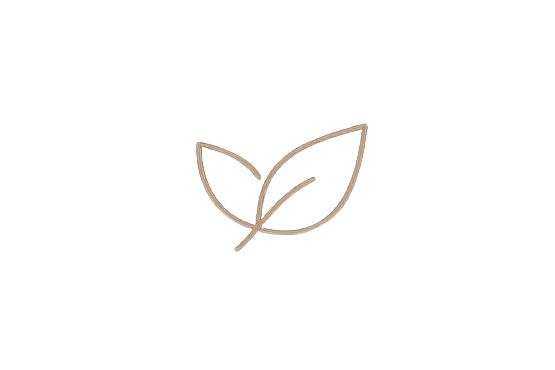 Minimalist line drawing of two leaves with a stem.