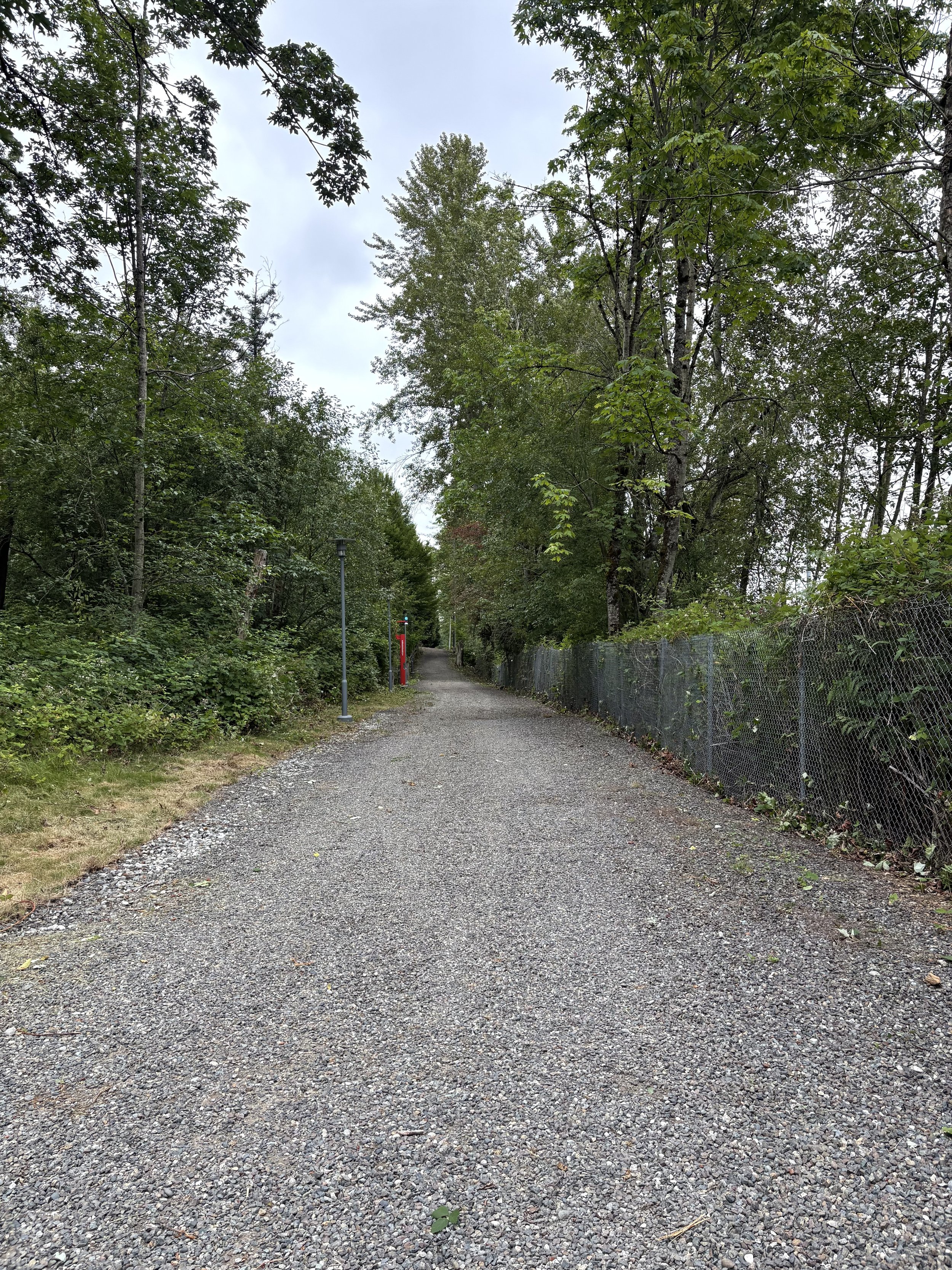 Crisp Sidewalk & Driveway Edging