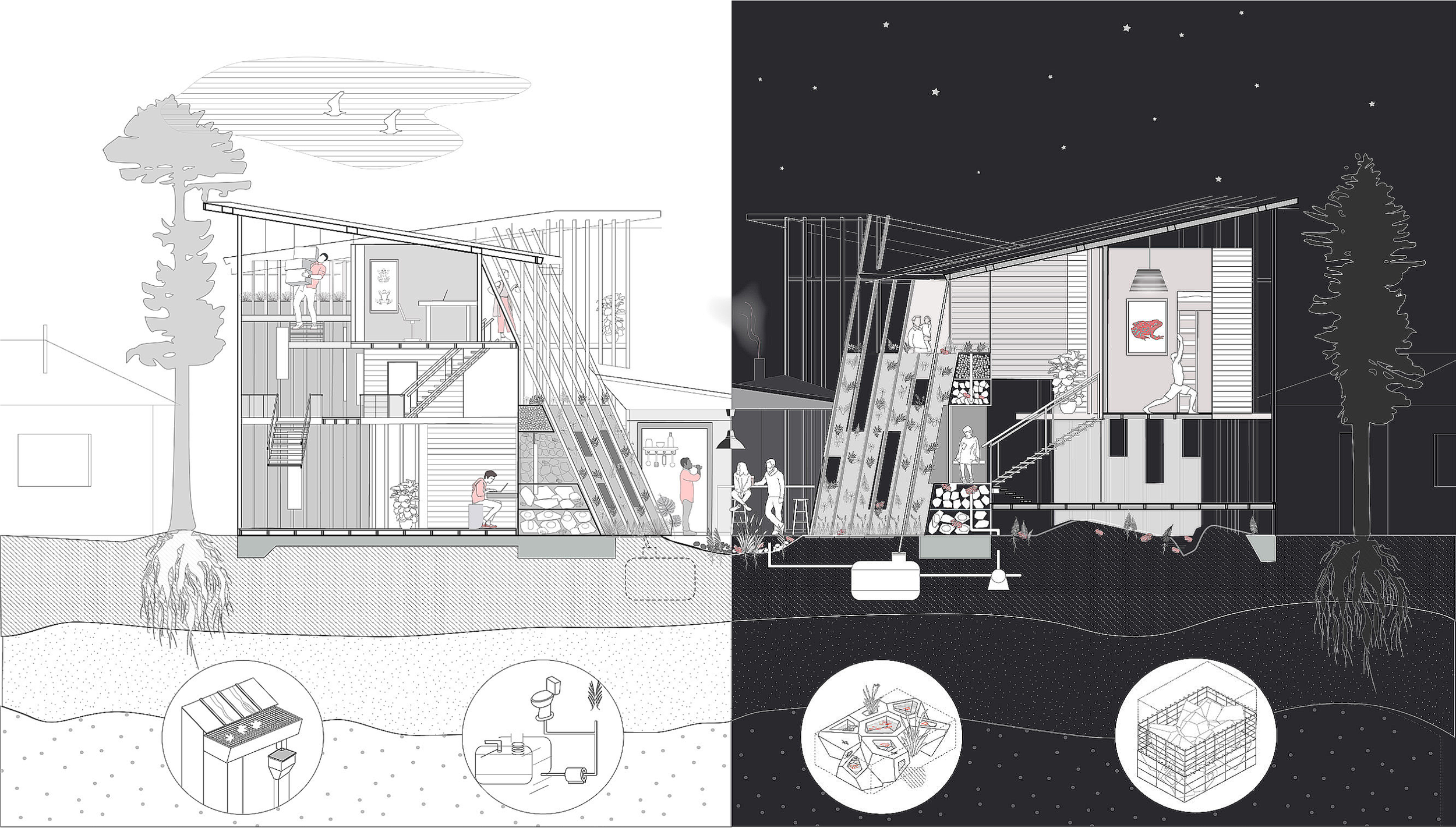 Digital - Co-living with Frogs Project