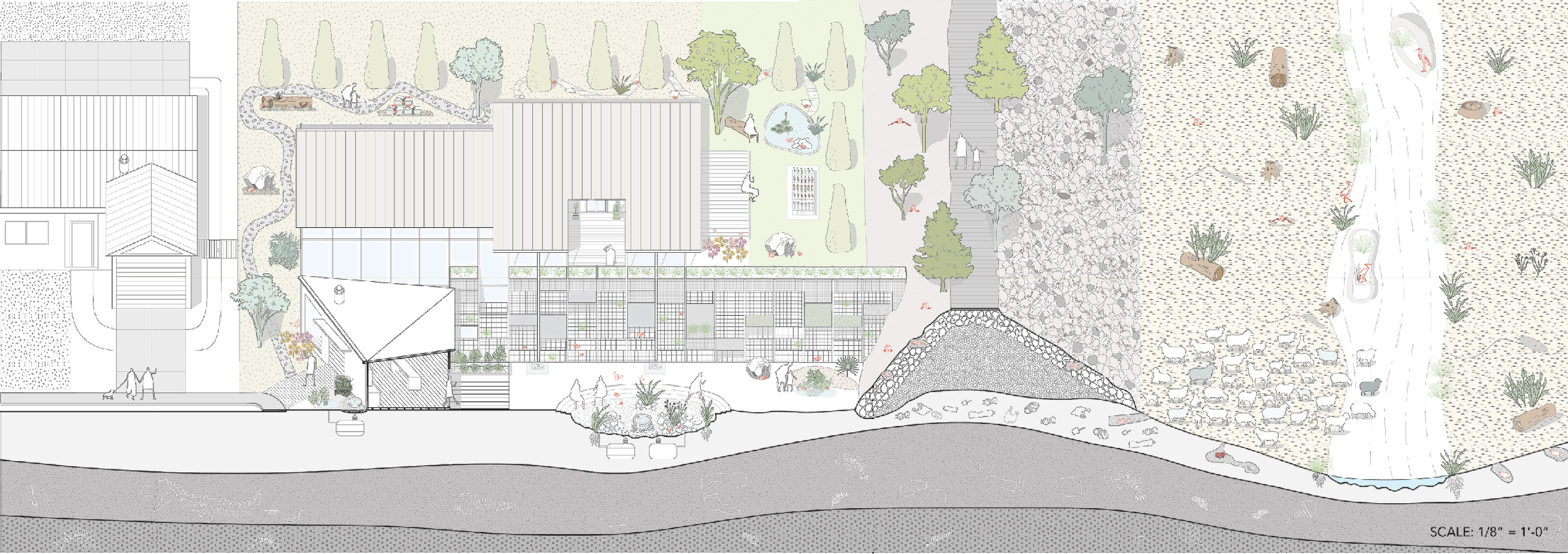 Digital - Co-living with Frogs Project