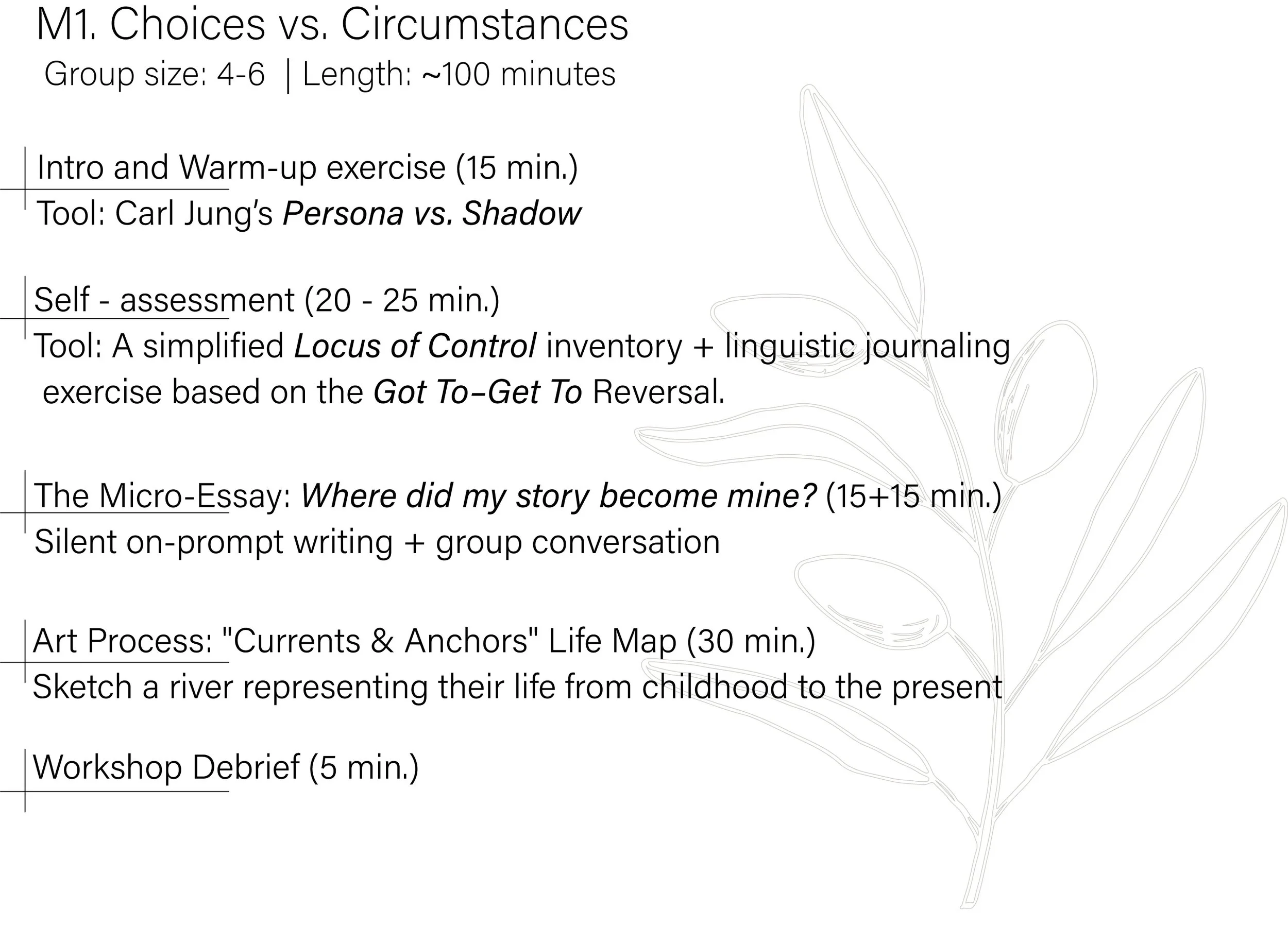 A schedule for a workshop titled 'Choices vs. Circumstances' includes activities such as intro and warm-up exercises, self-assessment, an art process, and a workshop debrief. The schedule details group size, approximate length, and tools used for activities, with a faint outline of a leaf in the background.
