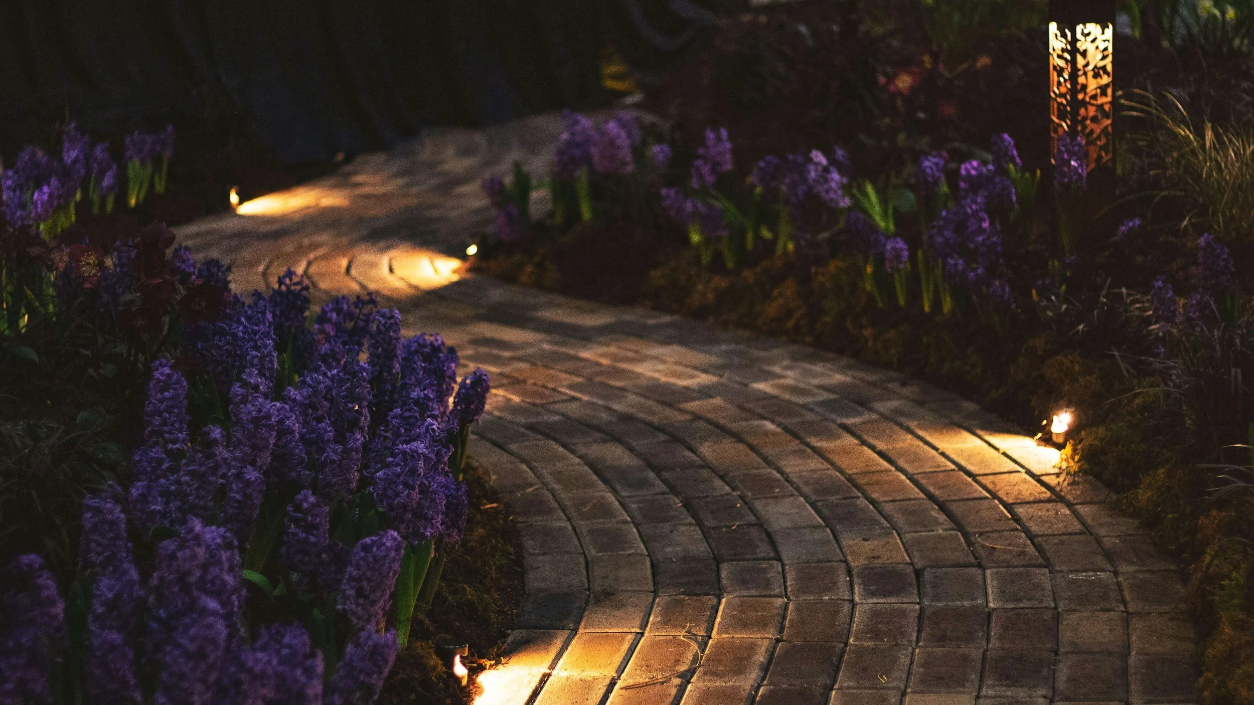 A winding brick pathway illuminated by small landscape lights, with purple flowers growing along the sides, seen at night.