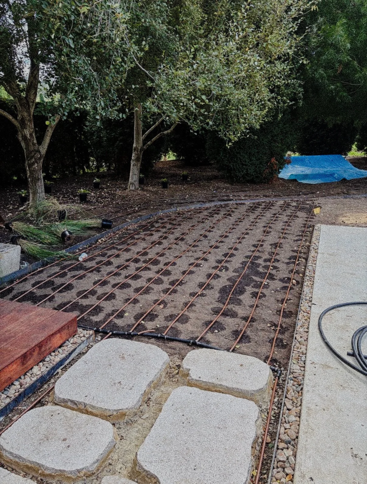 Gardening scene with a dirt area where a grid of piping is laid out for a future concrete pour. There are trees and bushes surrounding the area, and some gardening supplies like pots, rocks, and netting are visible.
