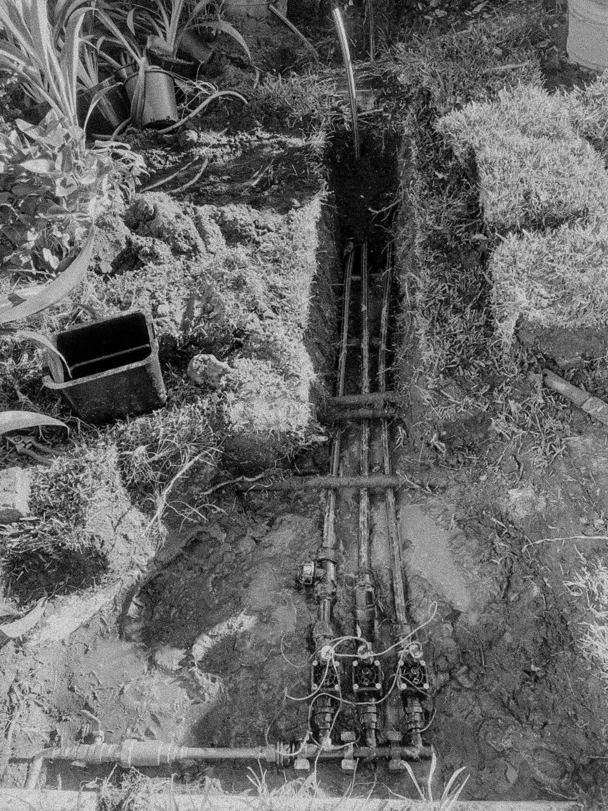 An underground trench with visible pipes and wiring, surrounded by soil, plants, and garden tools.