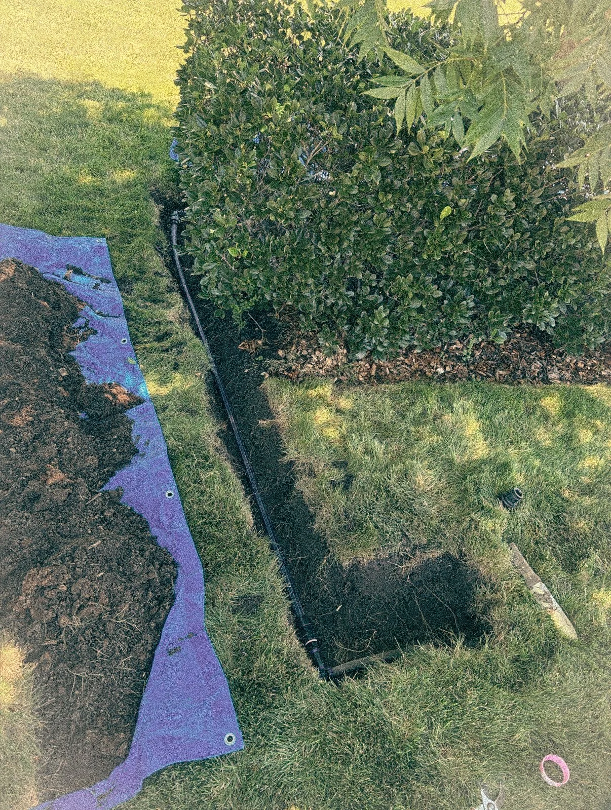 A garden scene showing a freshly dug trench along the edge of a grassy lawn, with a purple tarp and soil on the left, and a large green bush on the right. There is a black irrigation pipe running through the trench, and gardening tools and supplies near the edge of the grass.