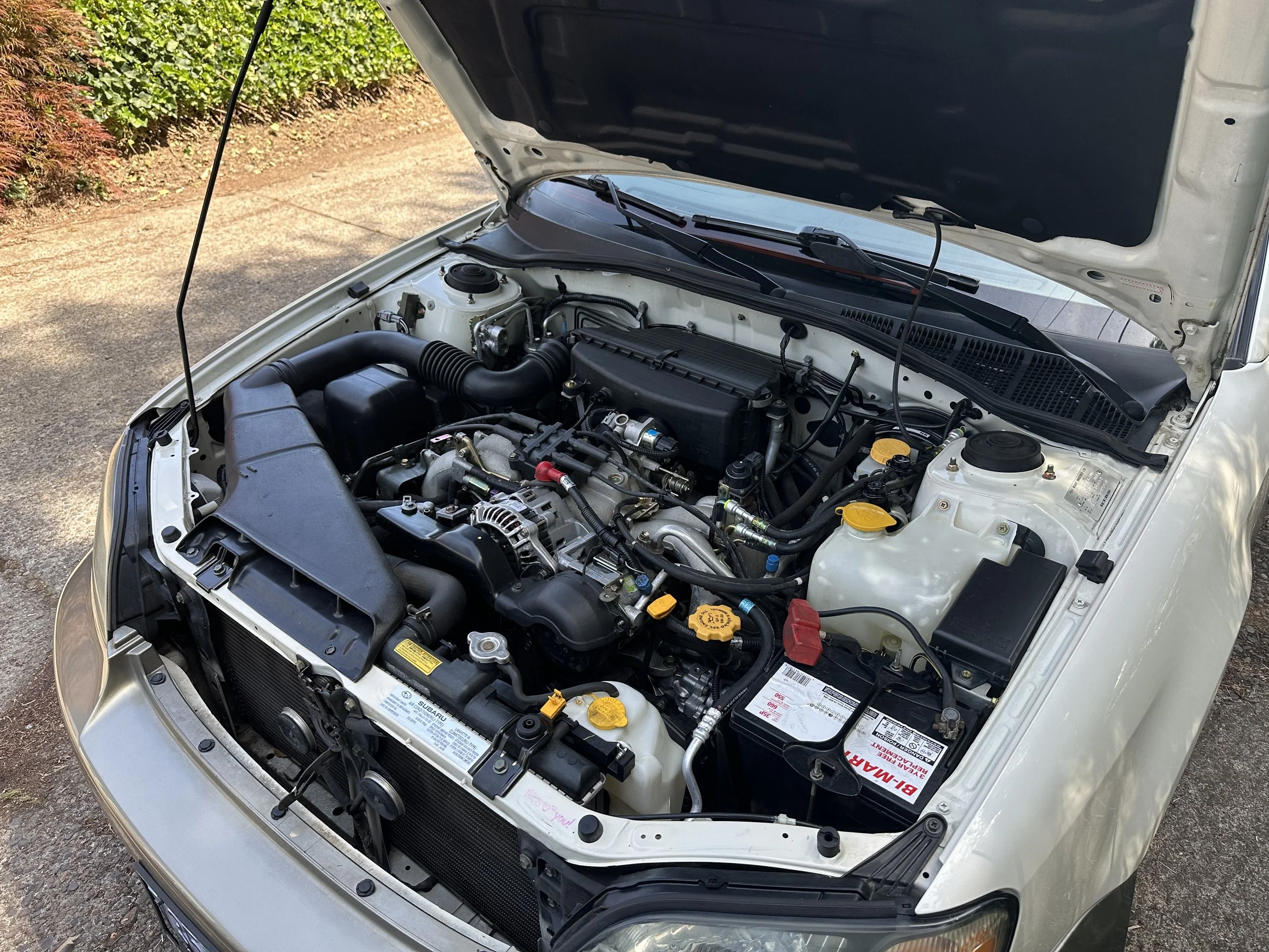 Engine Bay Detail