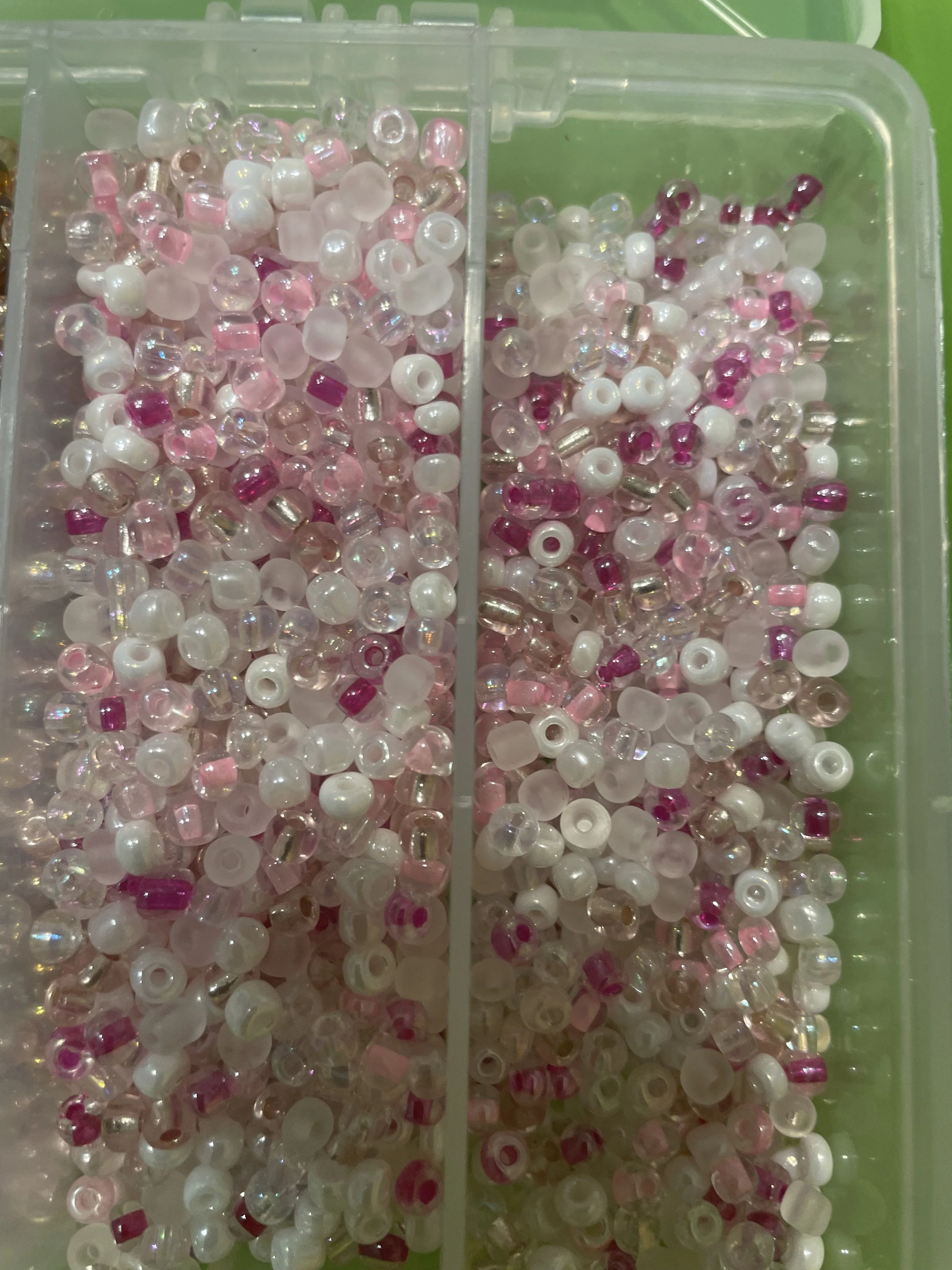 Bloom in Pink.jpeg
