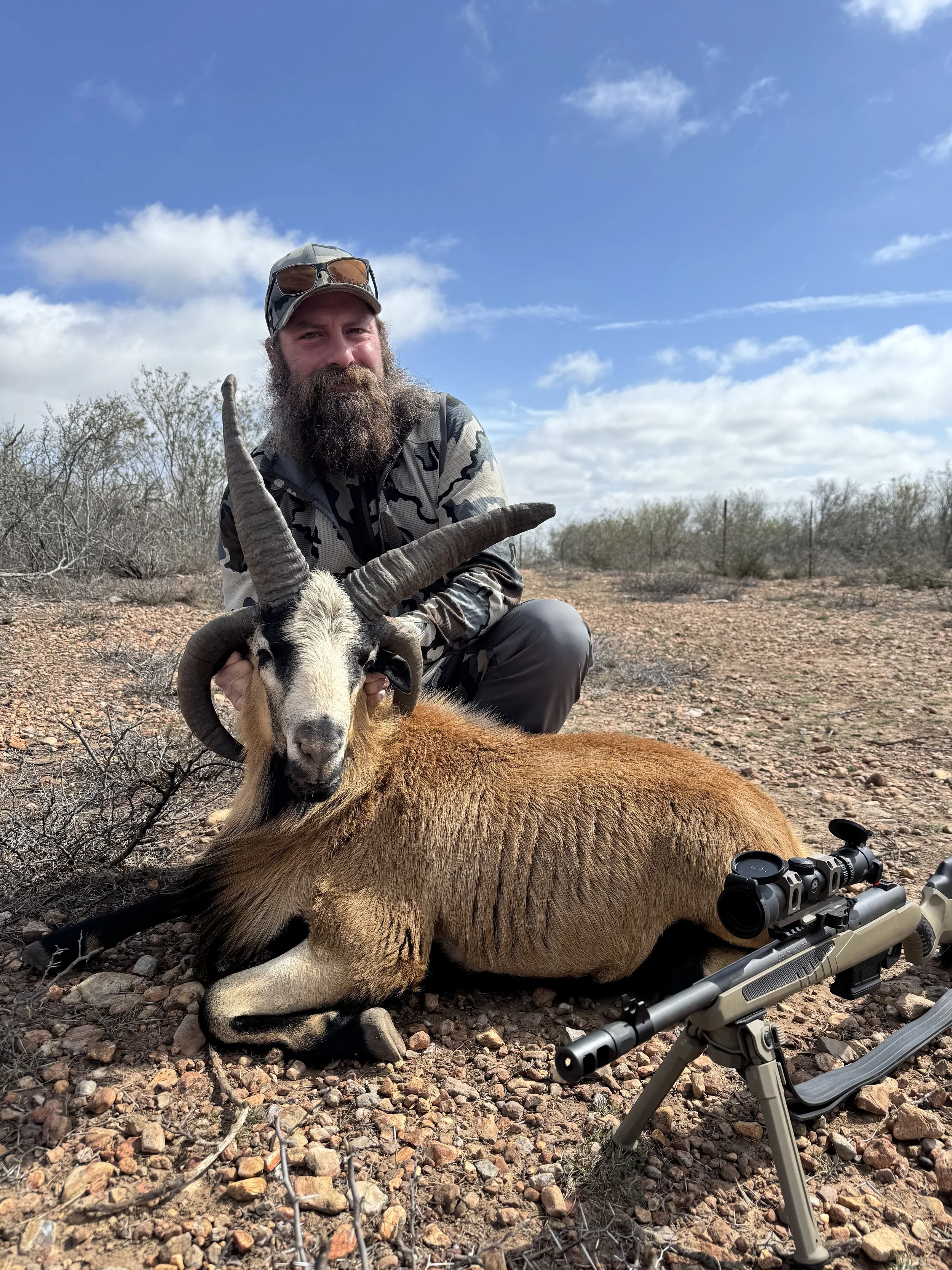 4 Horn Ram