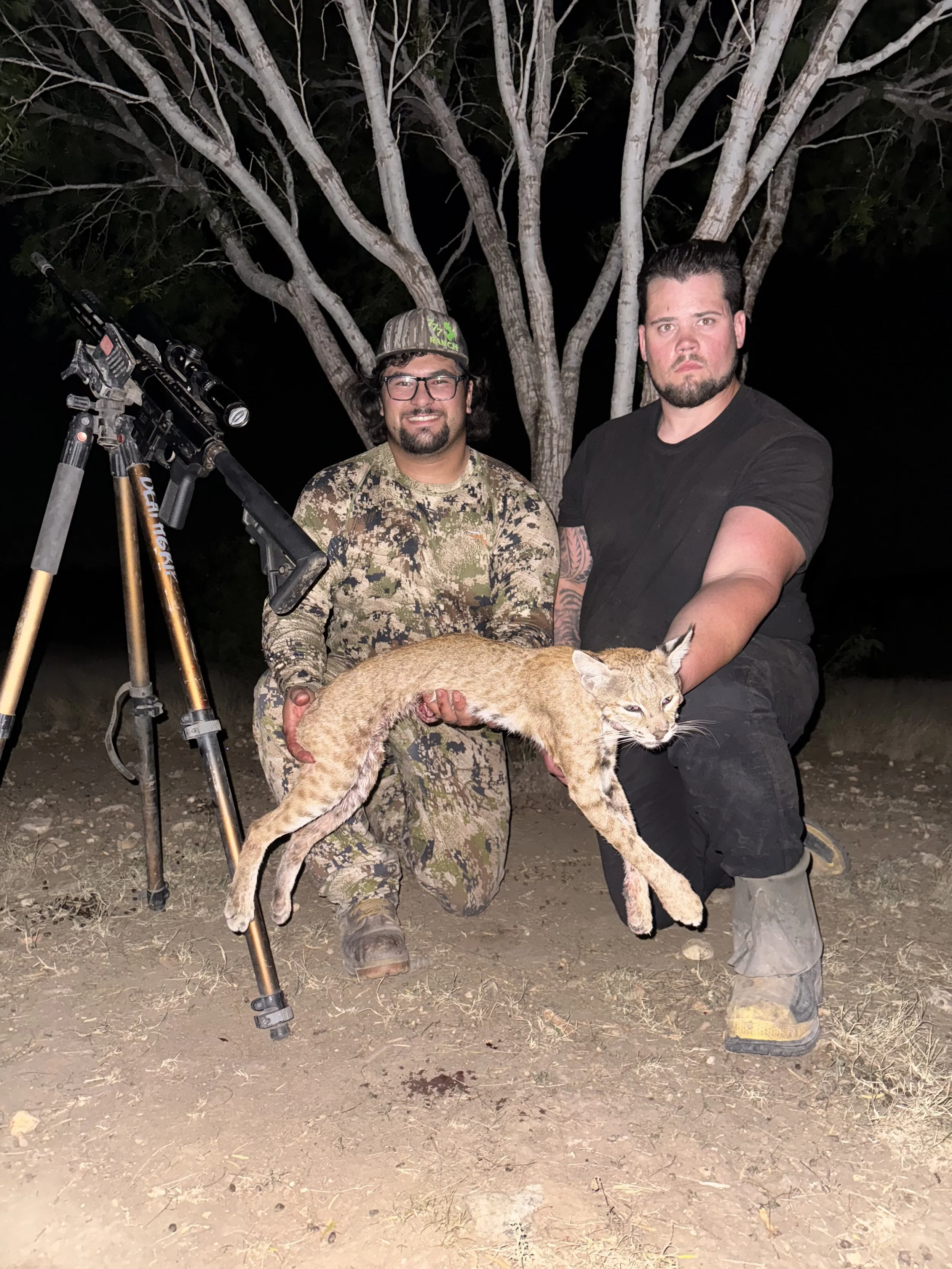 Bobcat hunt in Hondo, Tx.
