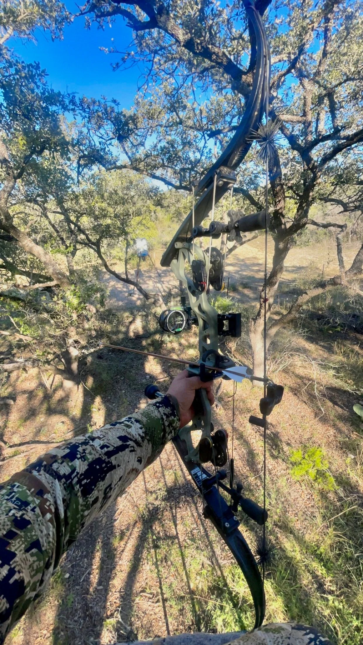 Bow hunting the South Texas terrain in Hondo, Texas.