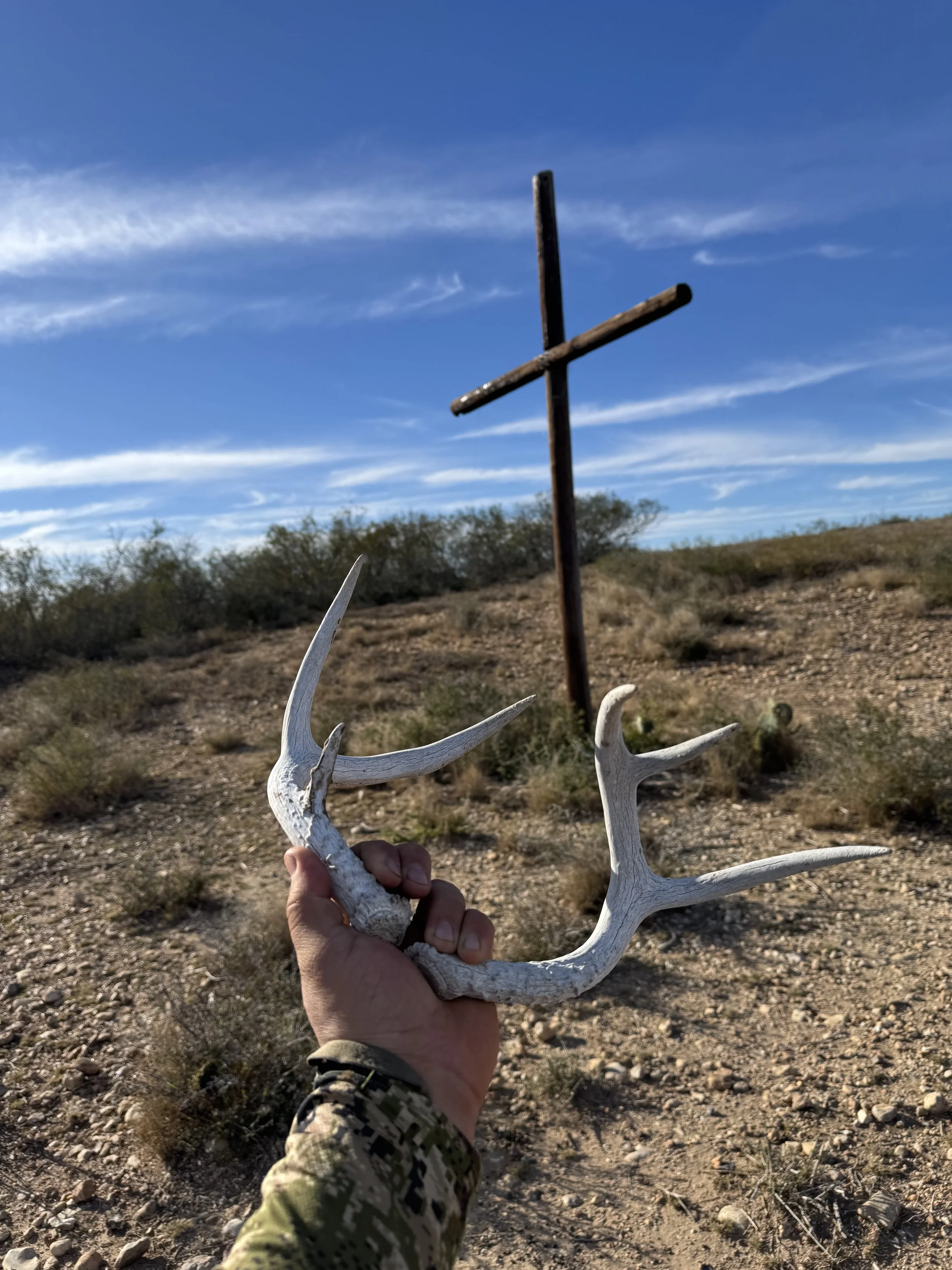 Horn hunting in south Texas