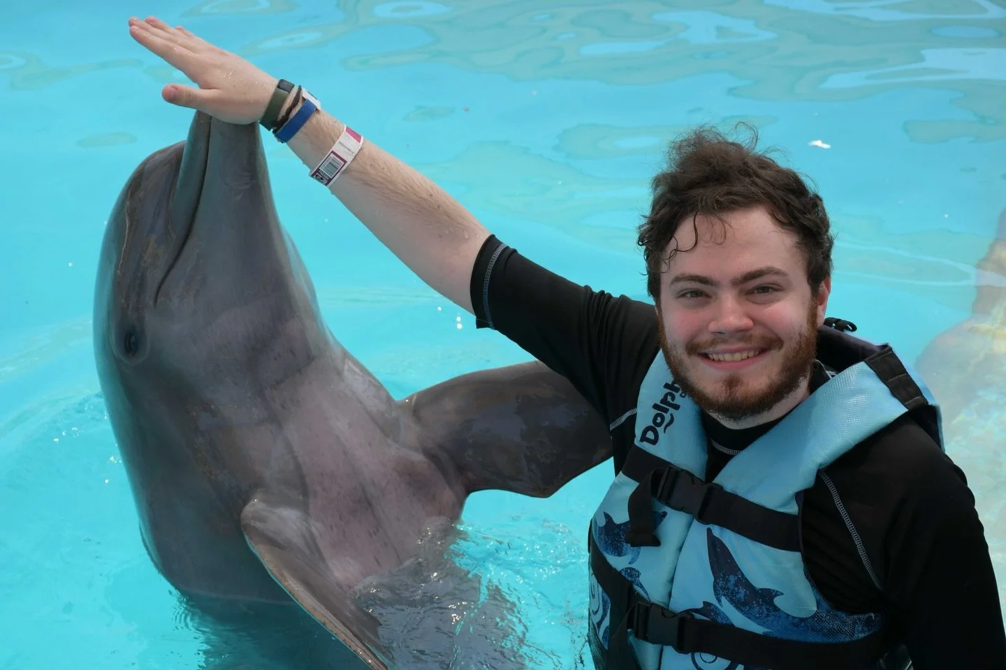 Dolphin Encounter in Puerto Vallarta