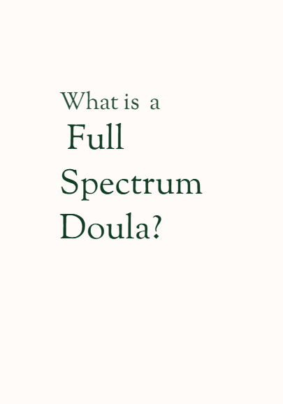 What is a Full Spectrum Doula? Zine