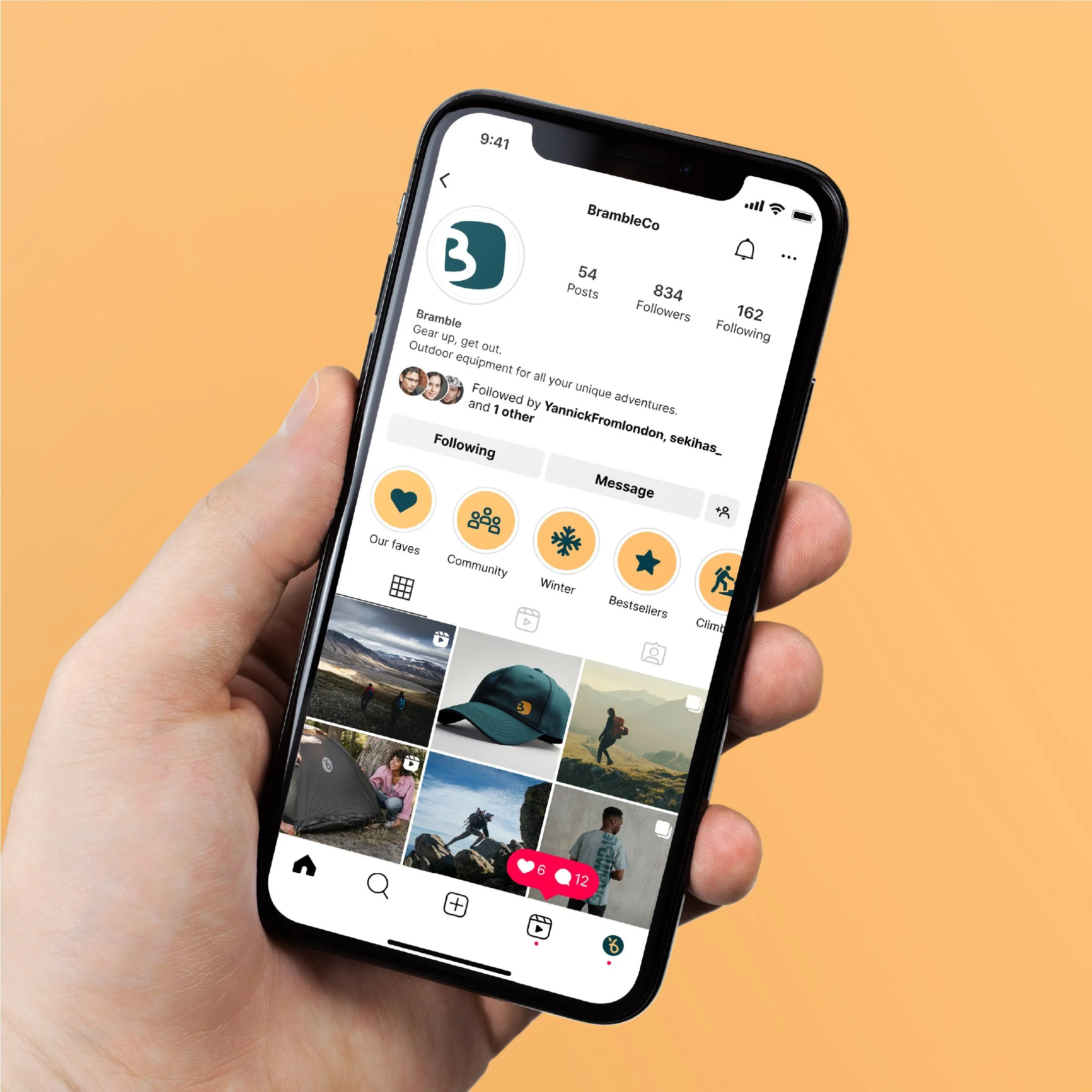 Instagram profile with exemplar posts