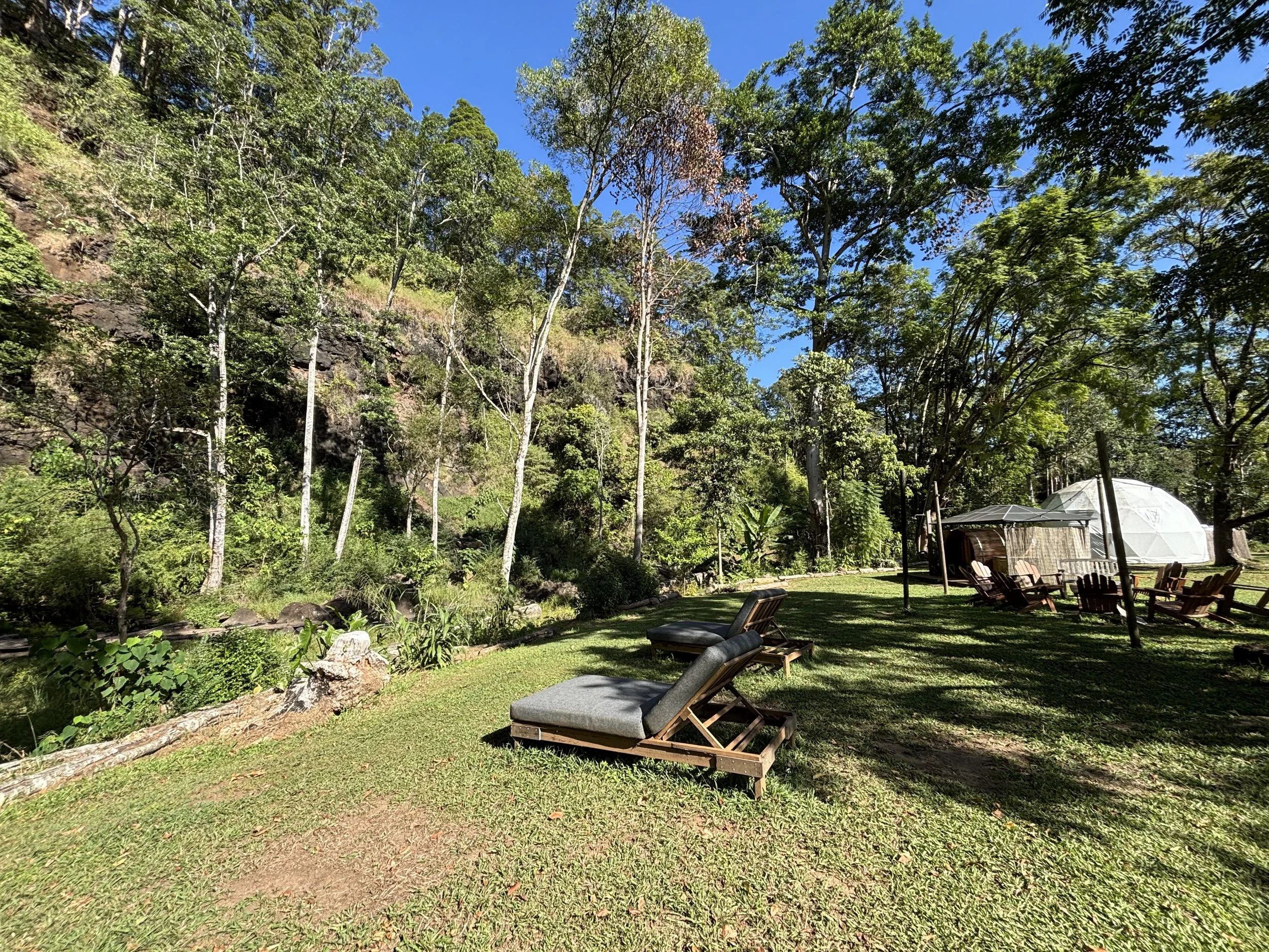 A backyard patio surrounded by trees with a shaded seating area and lounge chairs on a grassy lawn under a clear blue sky.