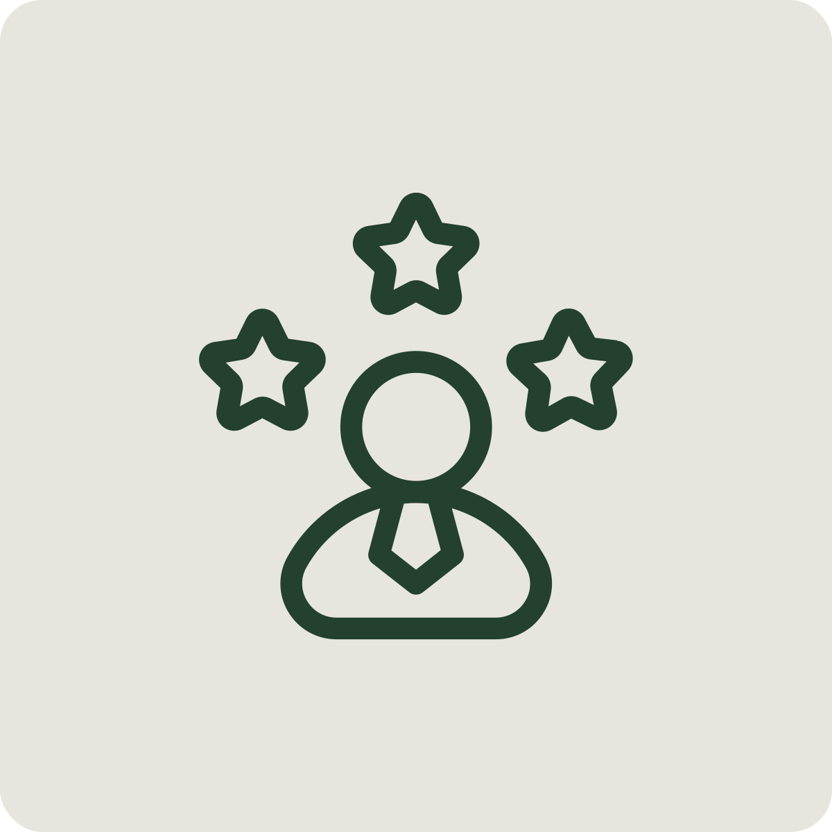 Icon of a person with stars around their head, representing excellence or recognition.