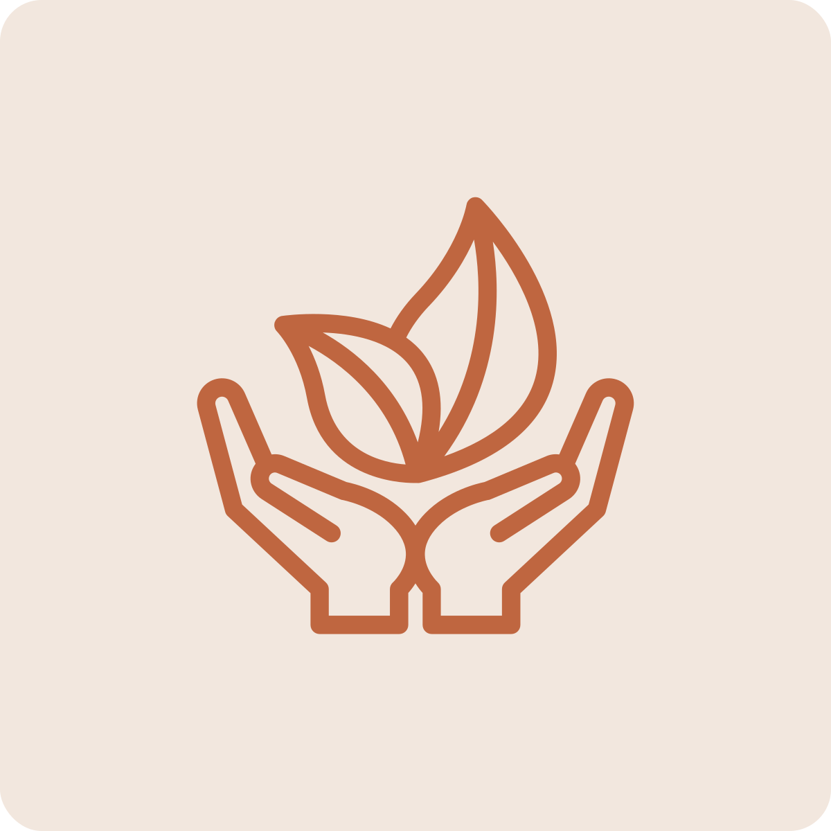 Outline drawing of two hands holding a plant with three leaves, symbolizing environmental care or sustainability.