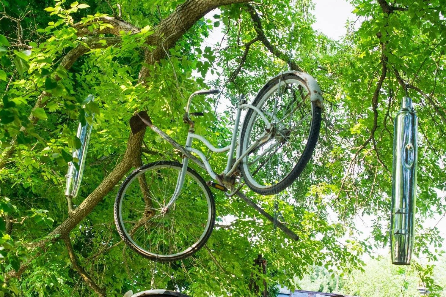 Photograph by Ashley Whitt of a vintage bicycle hanging upside down from a tree branch among lush green leaves at Hippie Tom's Serendipity Farm in Waterford, Wisconsin, with sunlight filtering through the canopy.