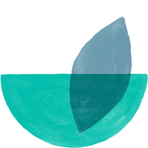 Radiant Health Reset accountability and success framework for weight loss