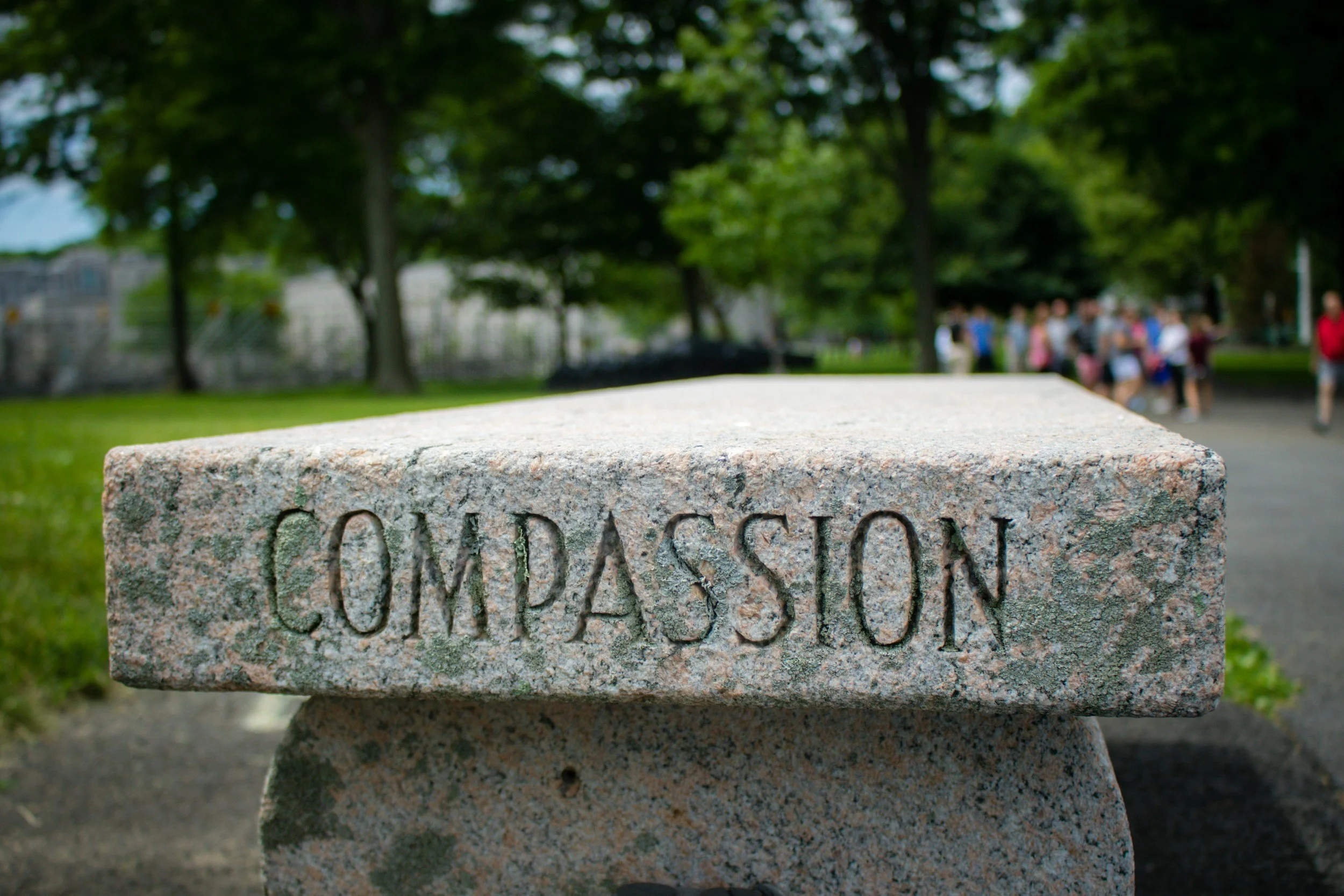 What is Compassion? 