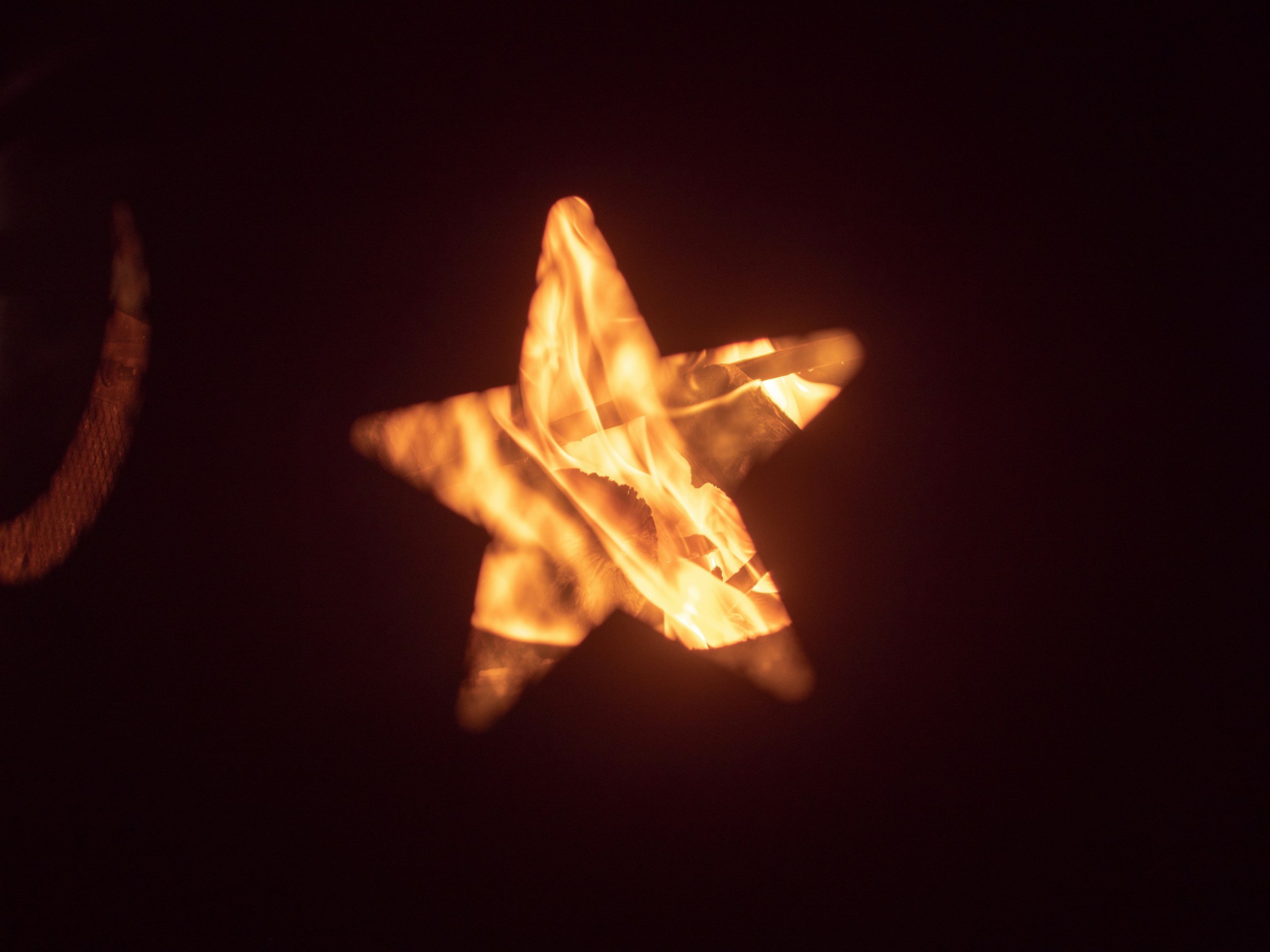 Star-Bellied Sneetches