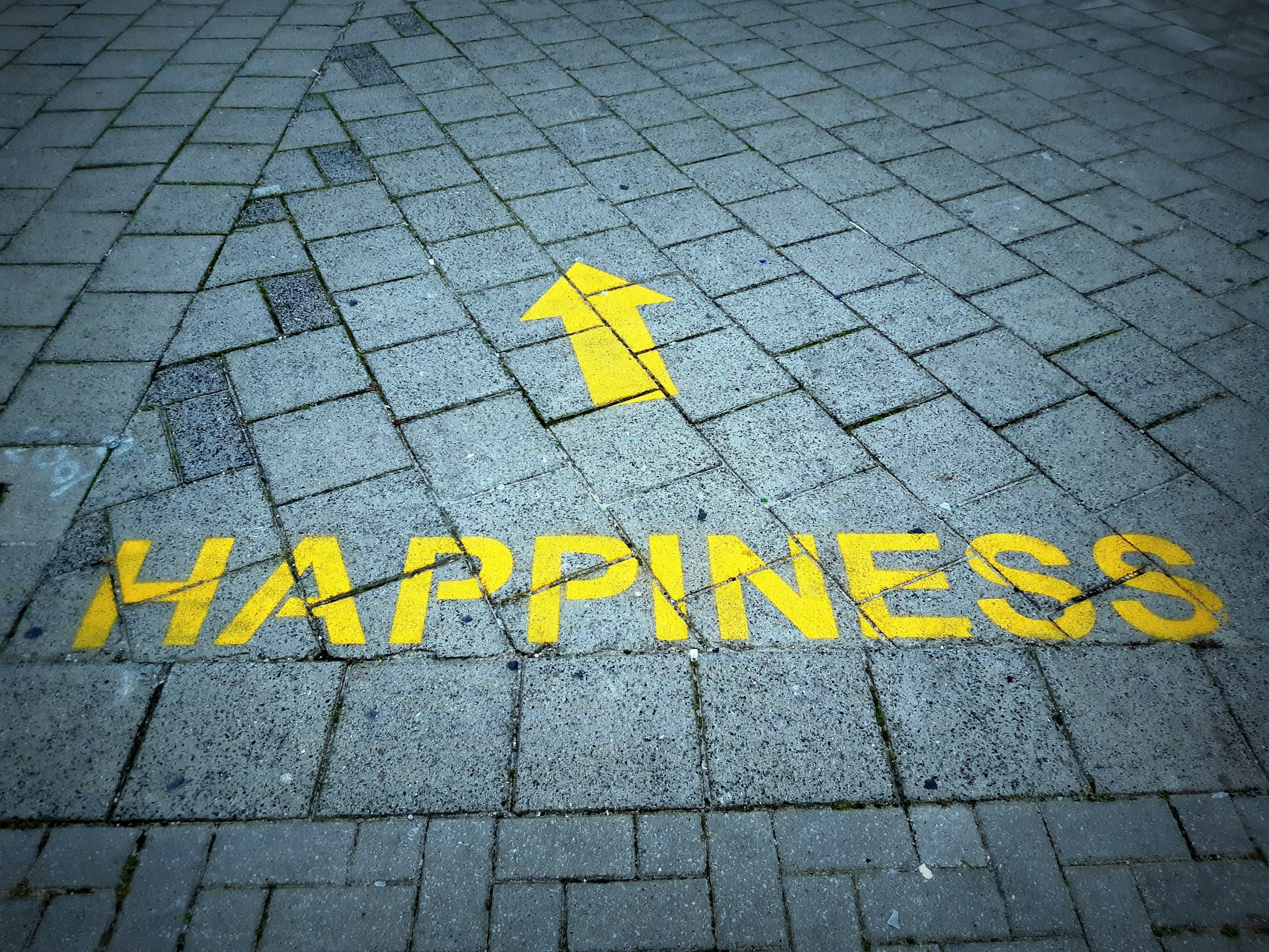 What is Happy? 