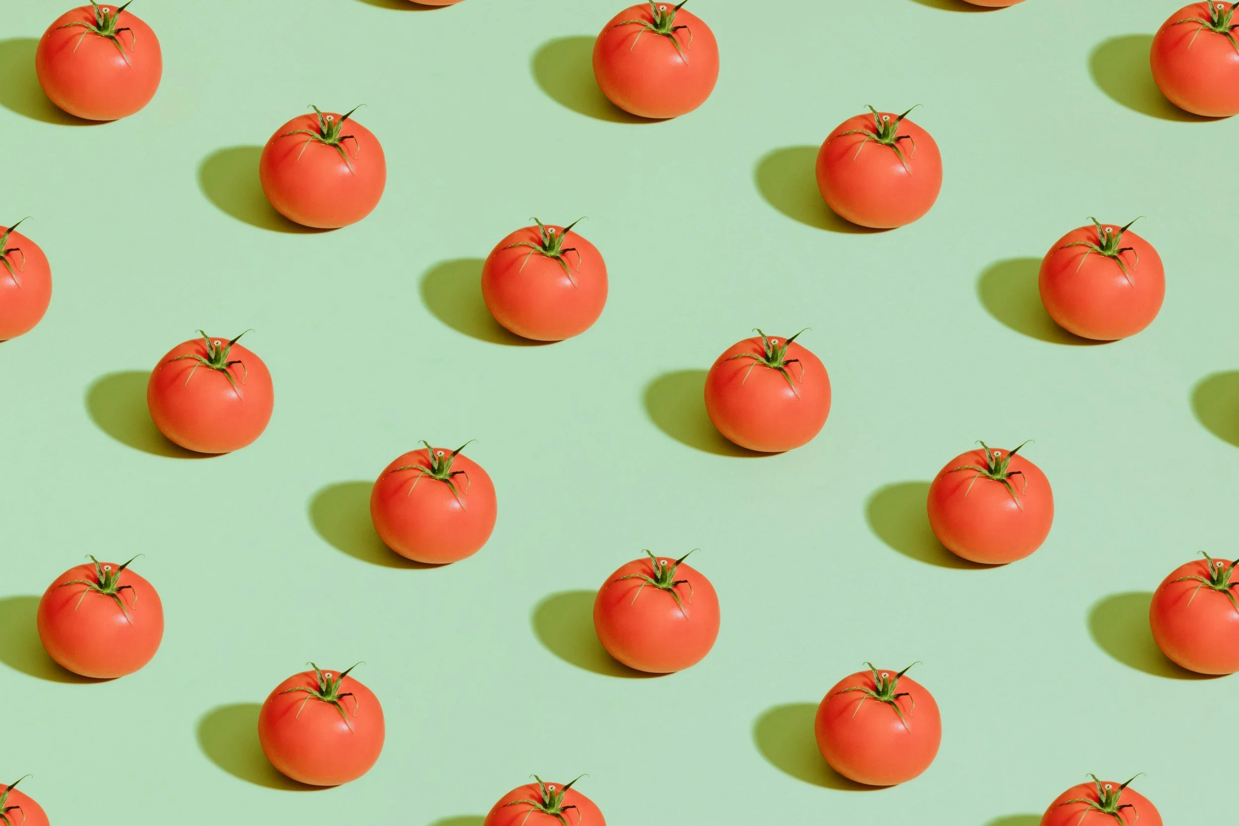 Tanya Tomato 
