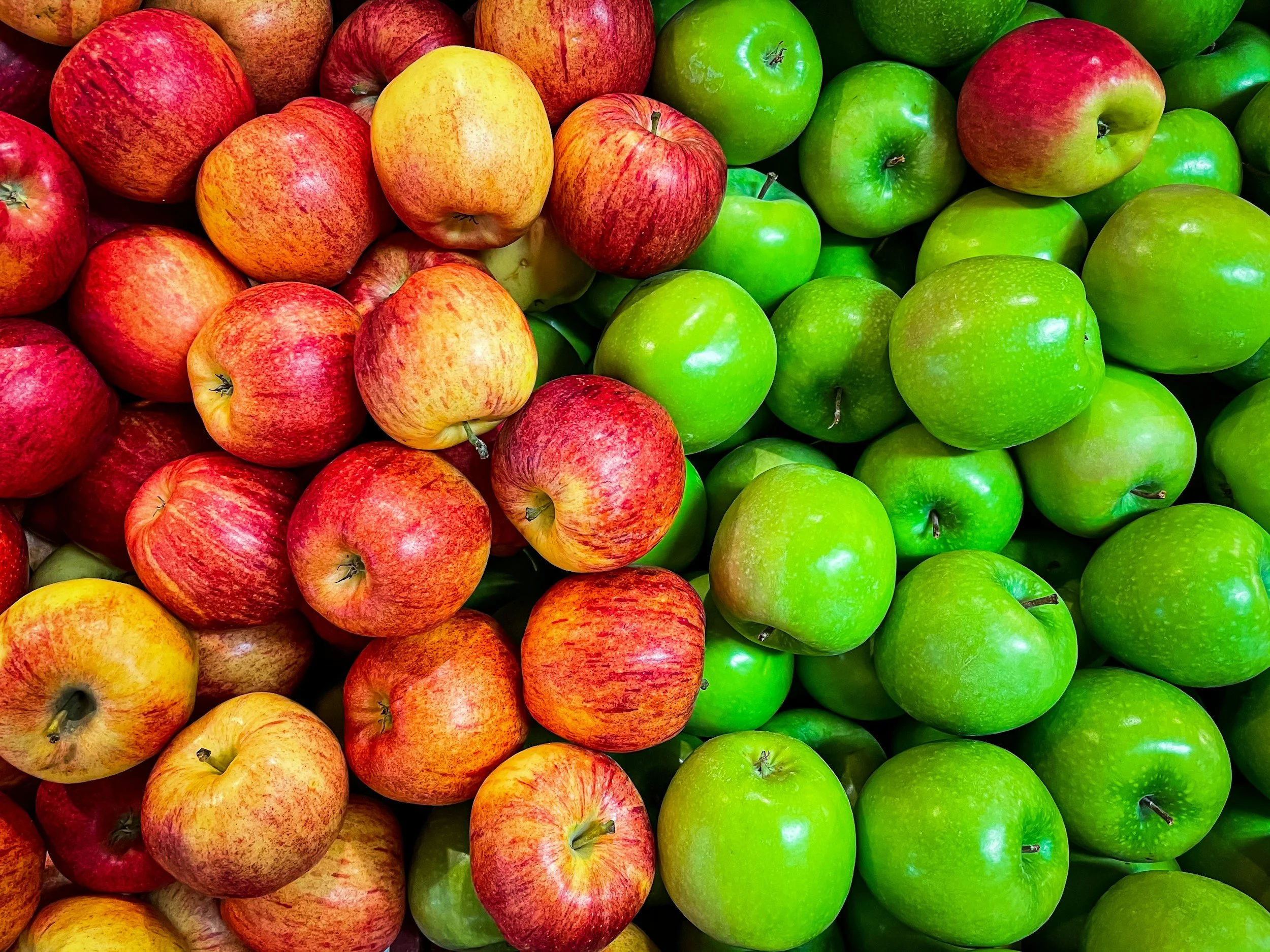 Apples Debate