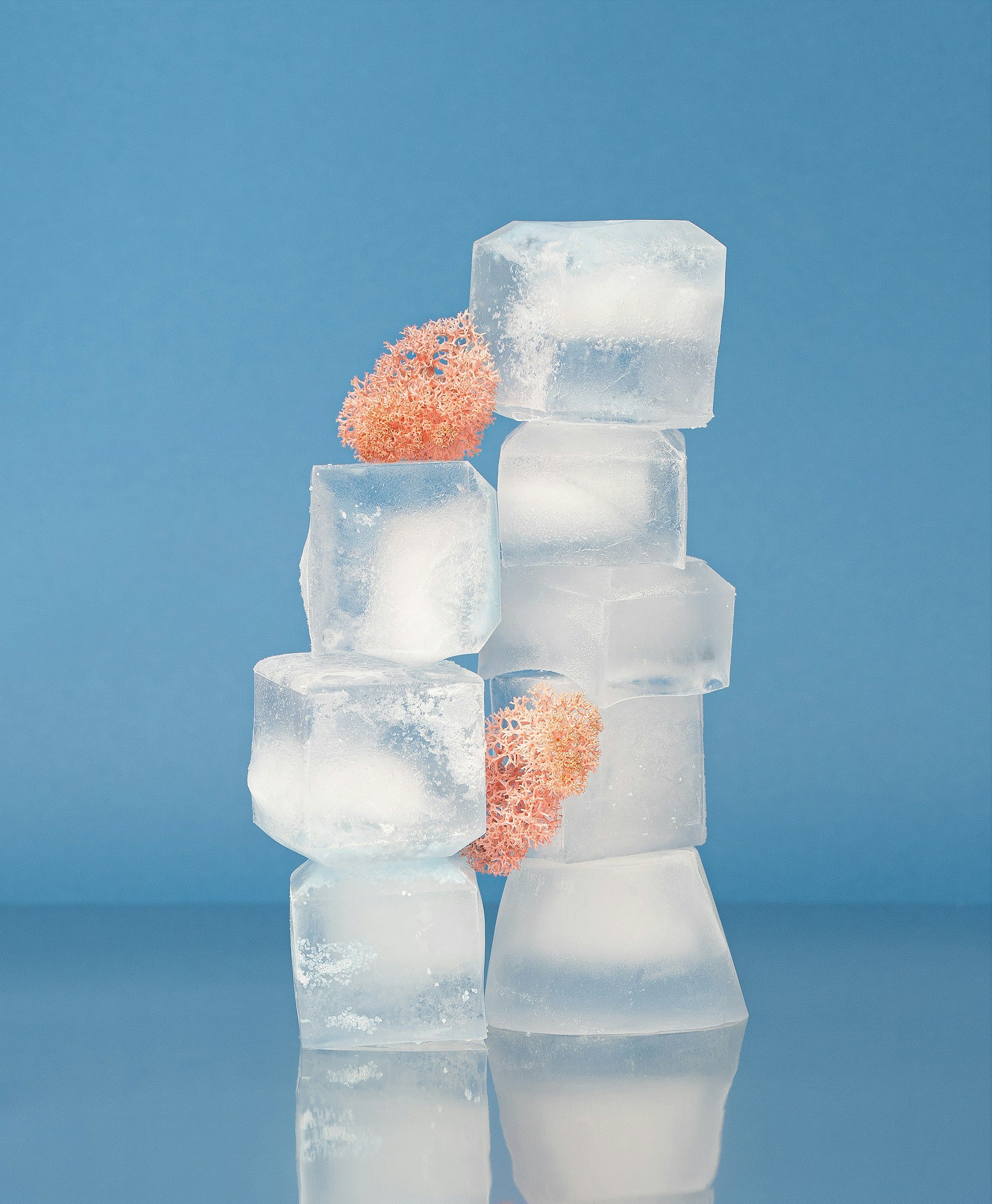 Week 2: Freeze Games (TK-2)
