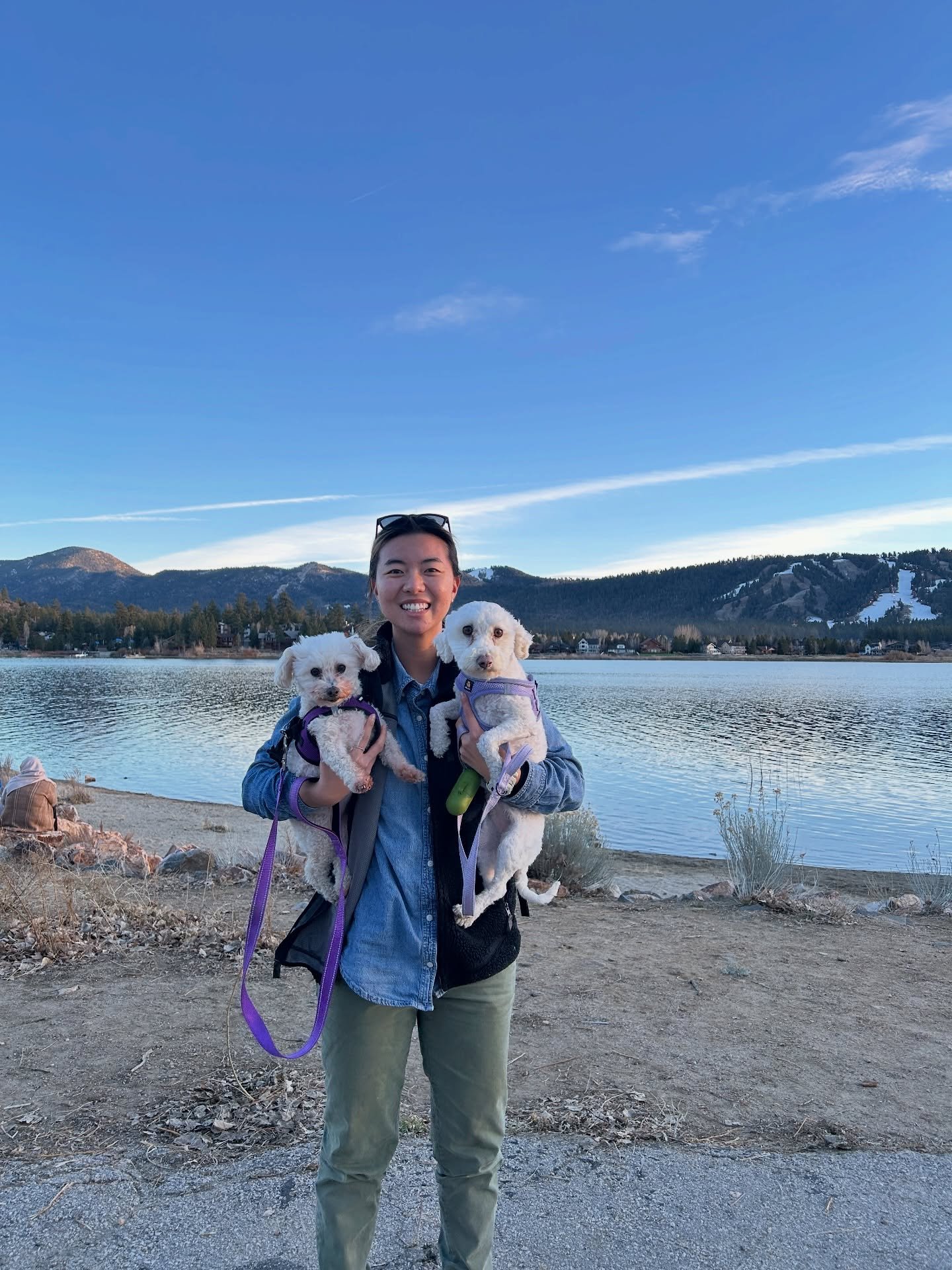 It&rsquo;s been just over a year since you crossed the rainbow bridge, Bella 🕊️

The other day, Coco, Luna, and I went to one of your absolute favorite places on earth. We walked your favorite trails, gazed at your favorite views, and memories of yo