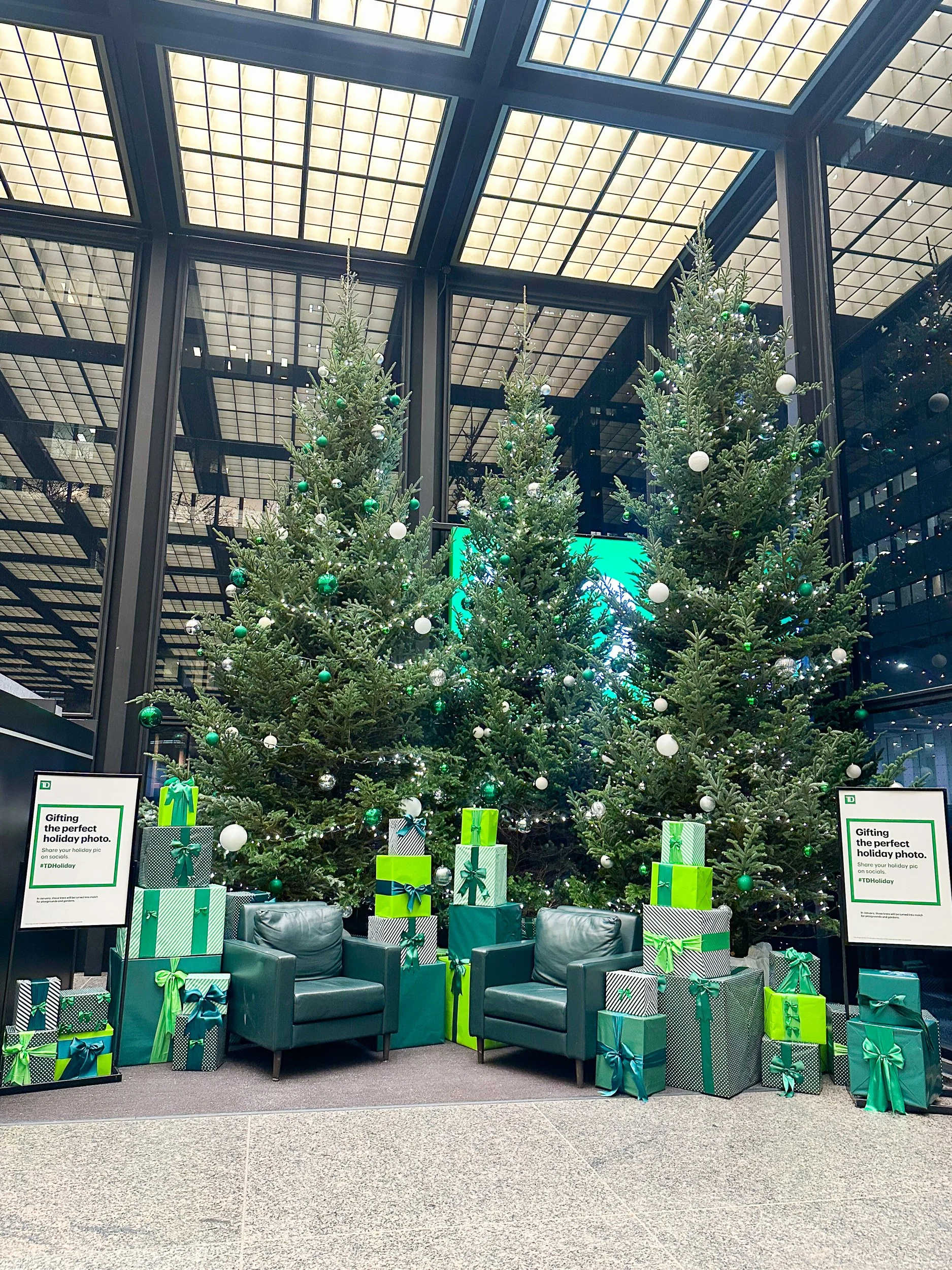 WrappingHappy-131827.jpg
