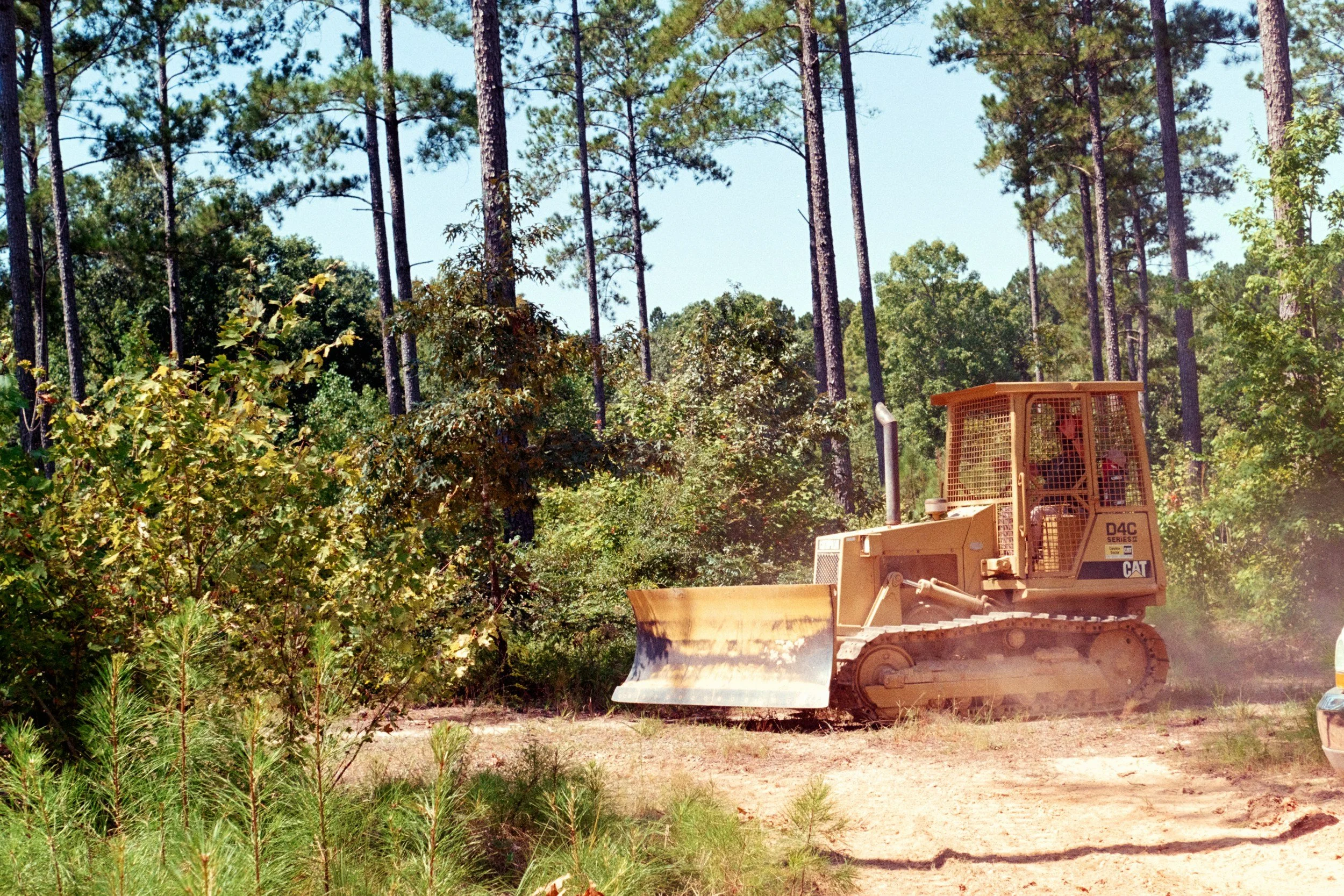 A bulldozer working in a forest clearing with trees and green foliage around.