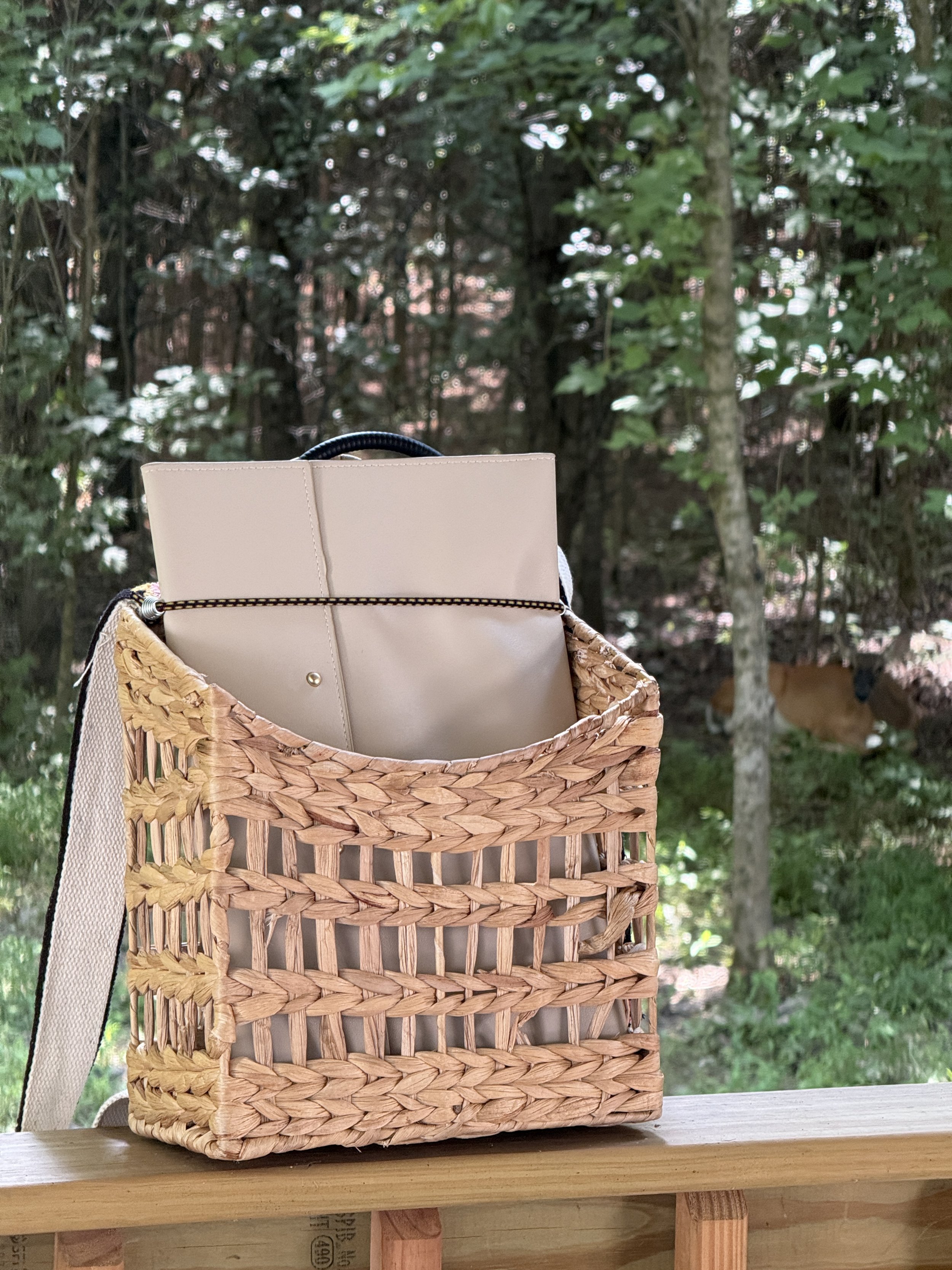 DZNR Hanging Backpack.JPG