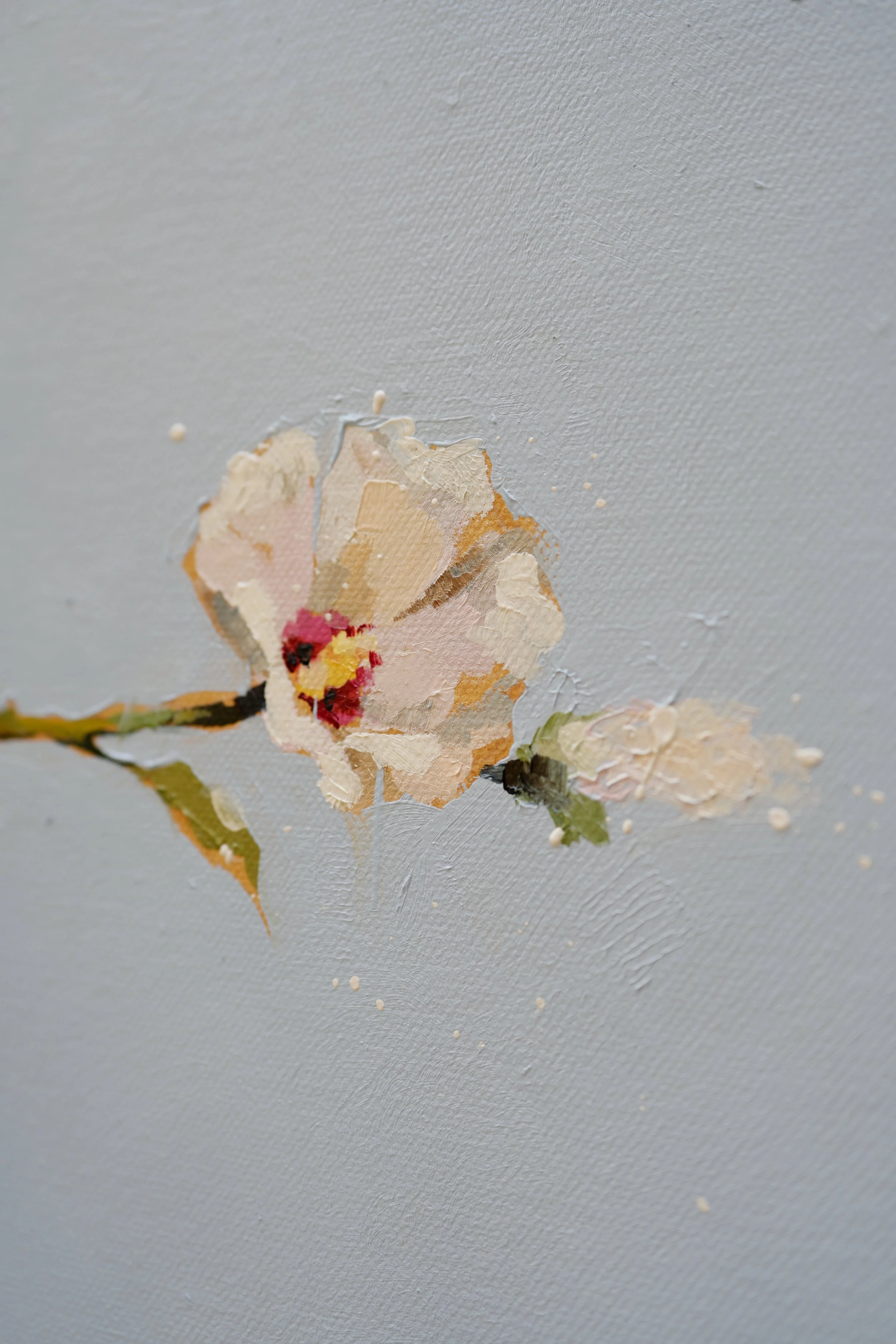 Close-up of a white mugunghwa flower with a crimson center, thick impasto oil paint, from Given by Marina Ogai