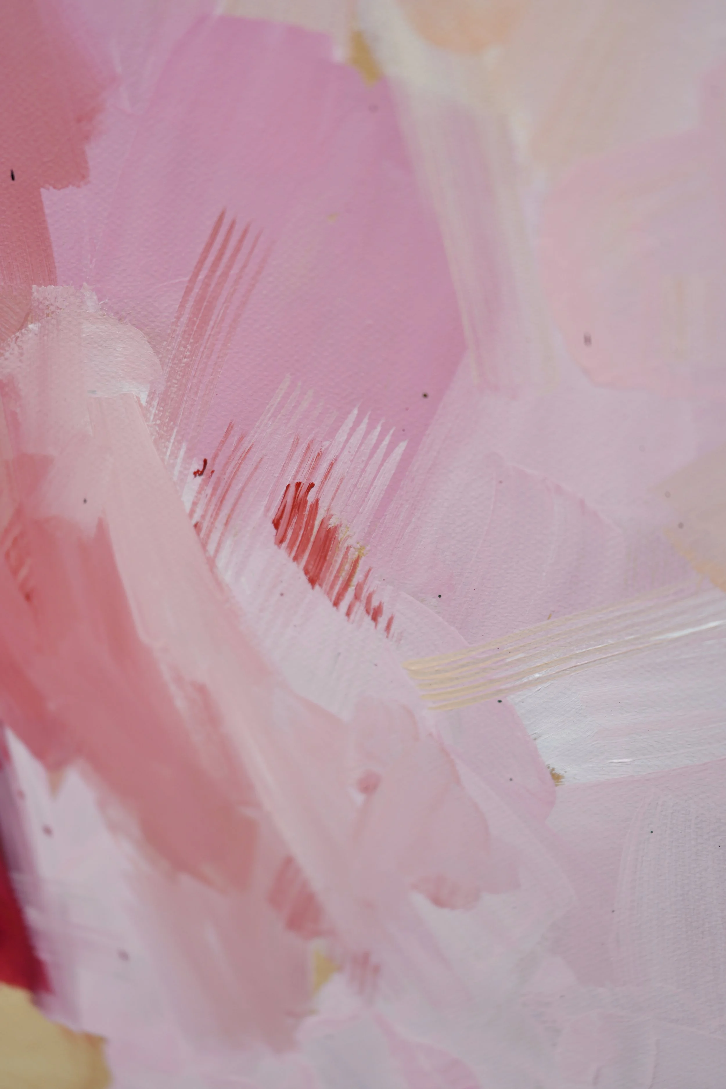 Close detail of pale pink oil brushwork with soft red streaks, from the painting Garb by Marina Ogai, series Given