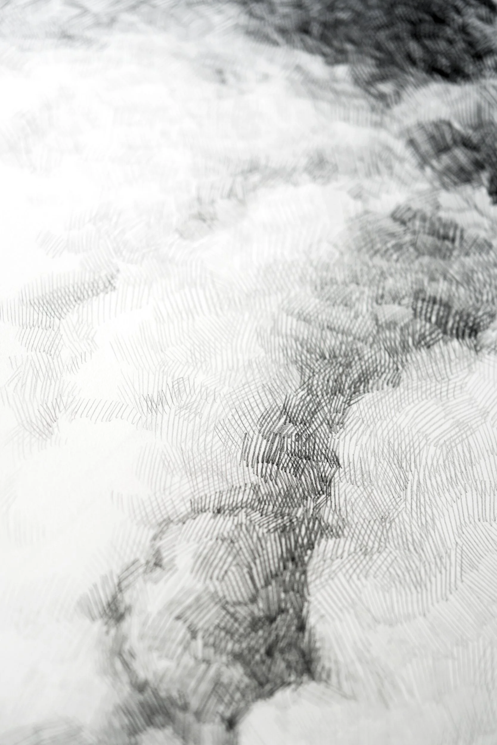 Detail of Return by Marina Ogai: cumulus clouds built from layered pencil hatching