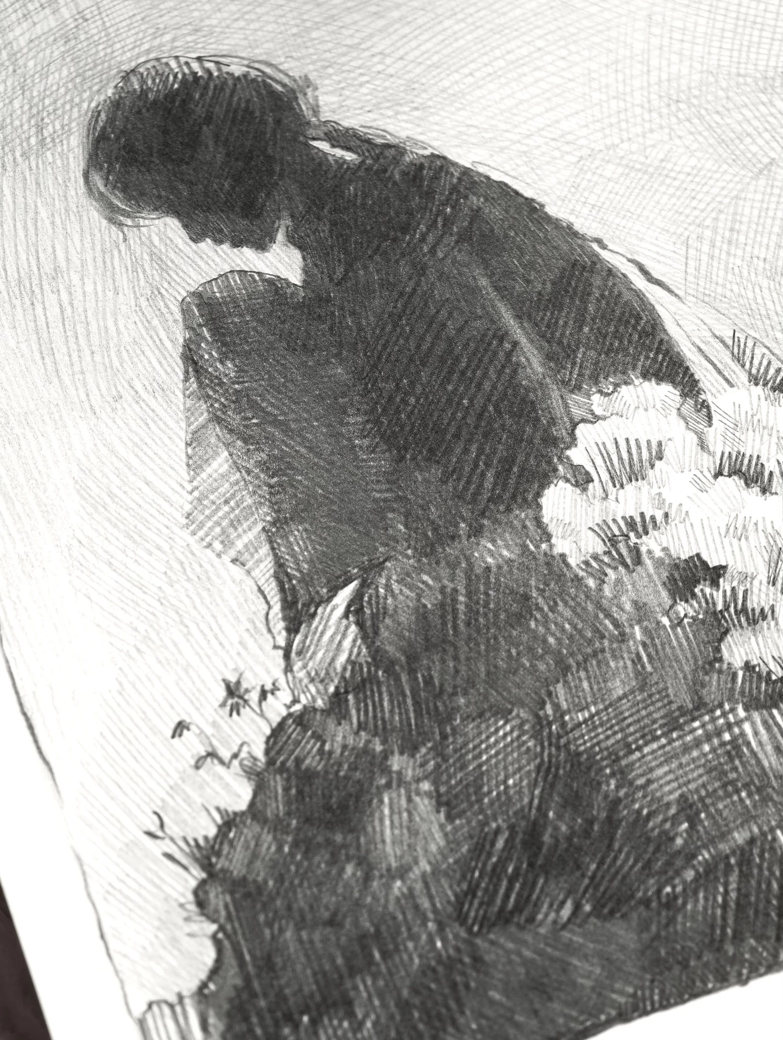 The turn of a dark shoulder above pale petals at the lower edge, pencil on paper detail by Marina Ogai