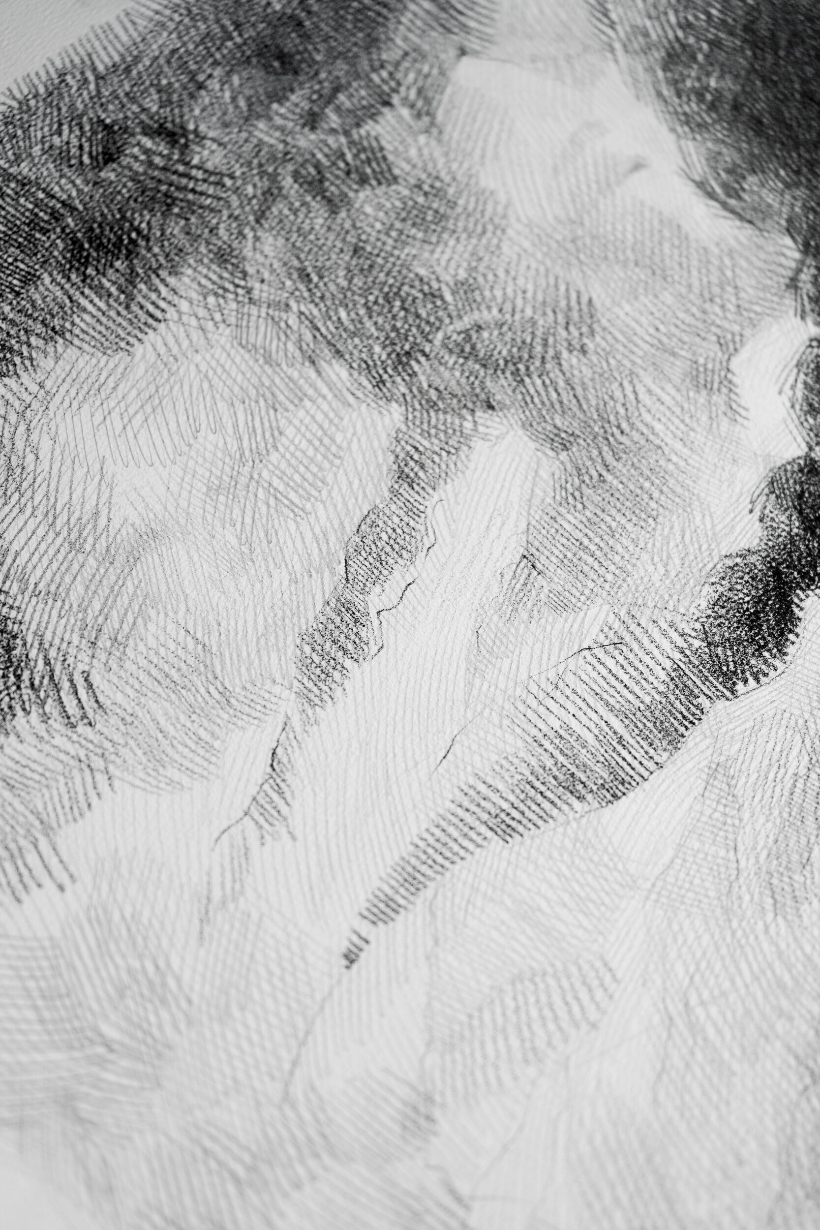 Detail of Striving or Fleeing by Marina Ogai: wind-blown fabric built from layered pencil strokes